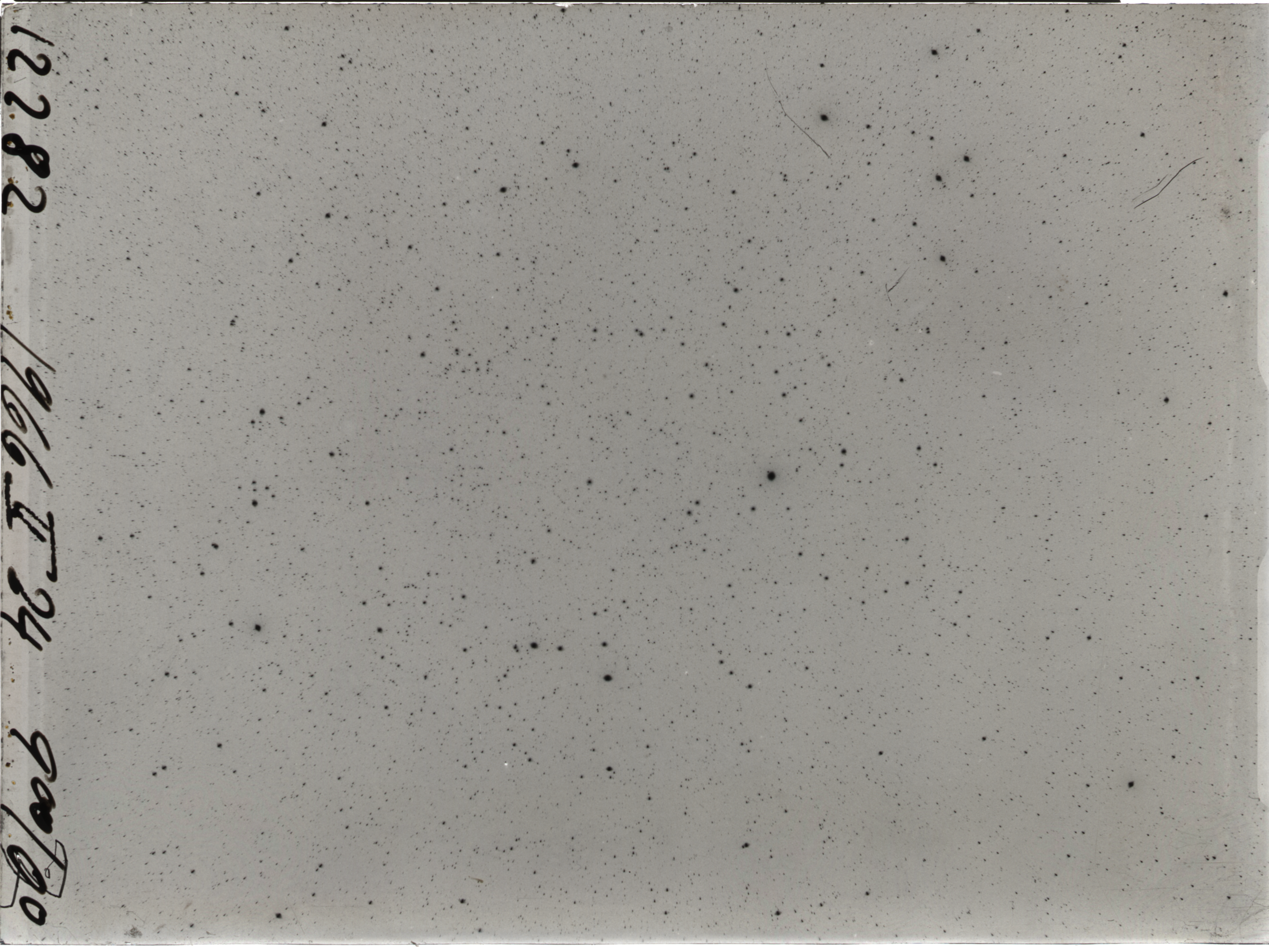 Plate preview