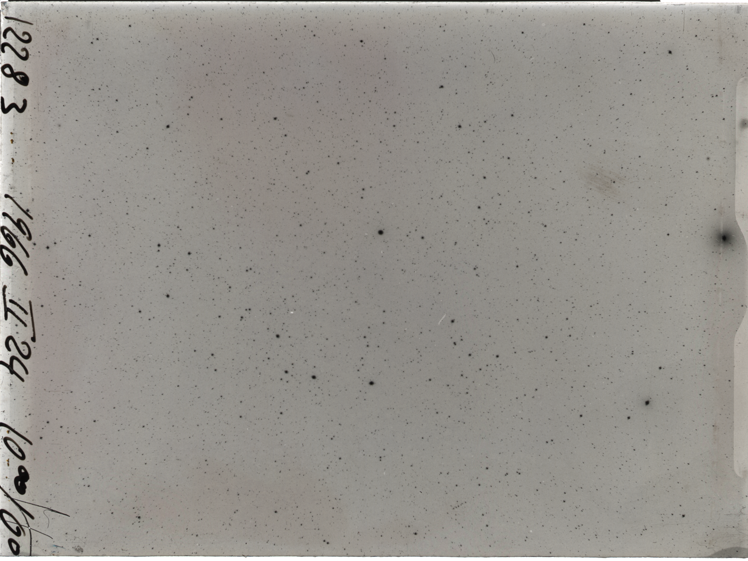 Plate preview