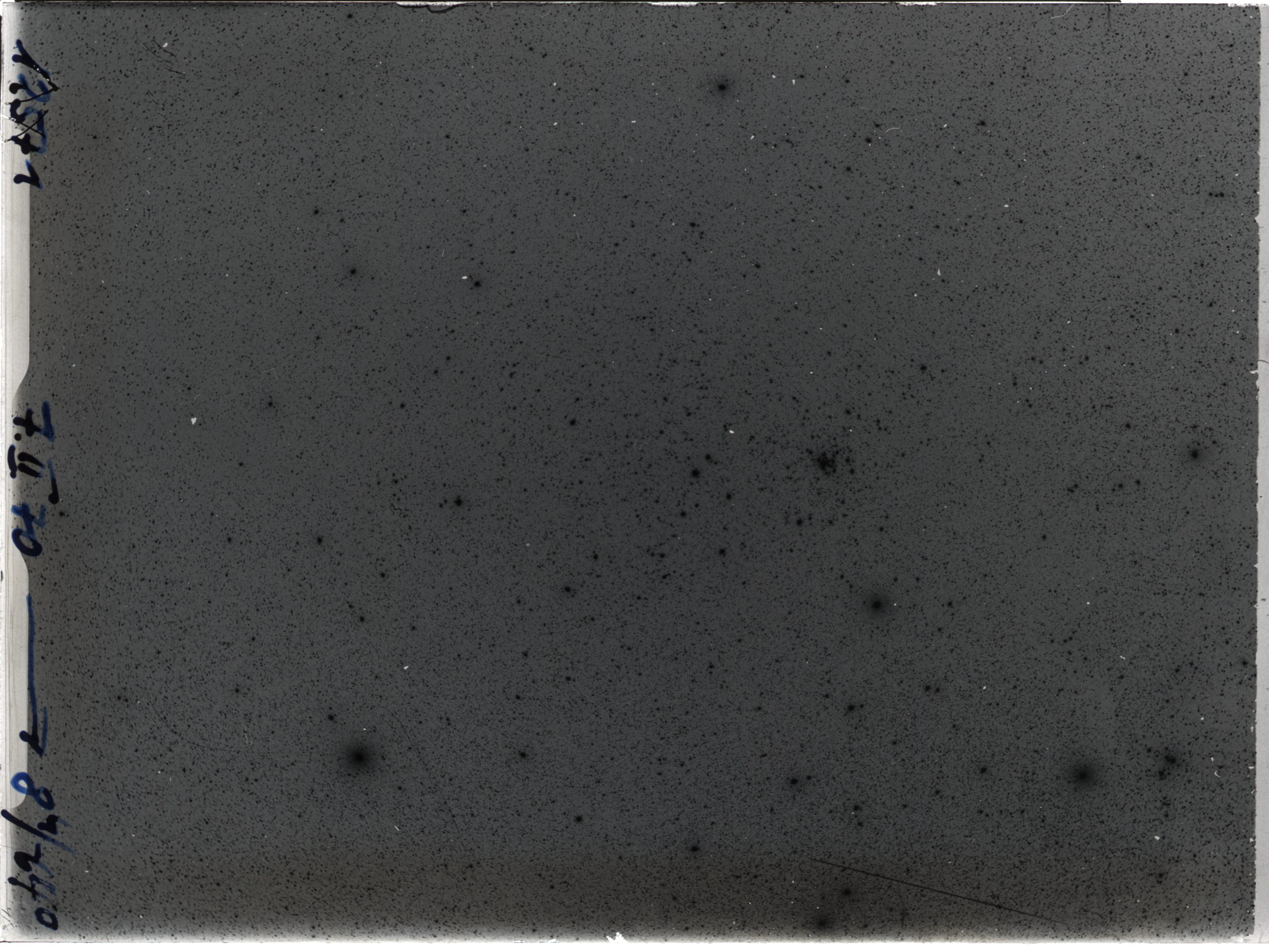 Plate preview