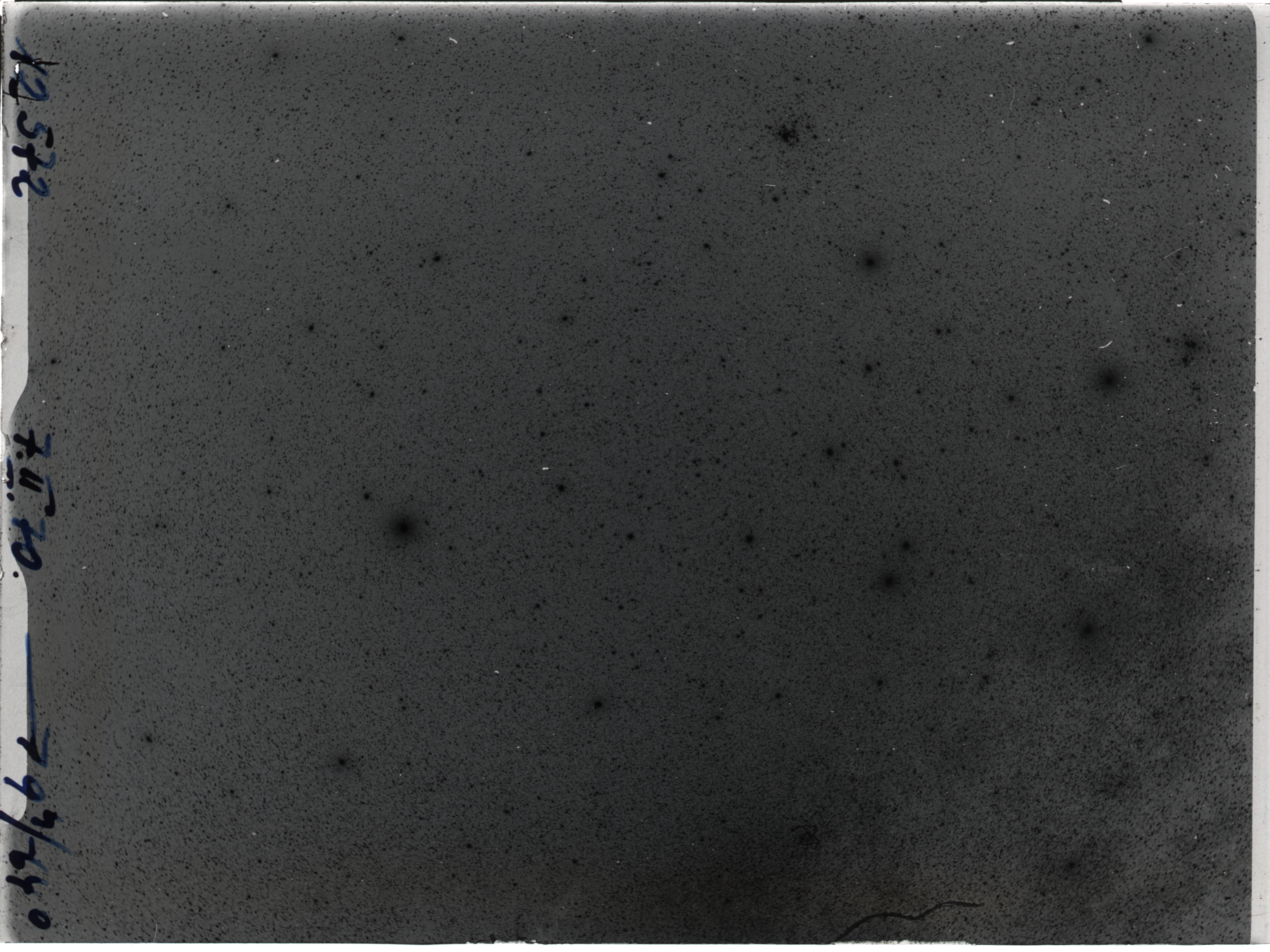 Plate preview