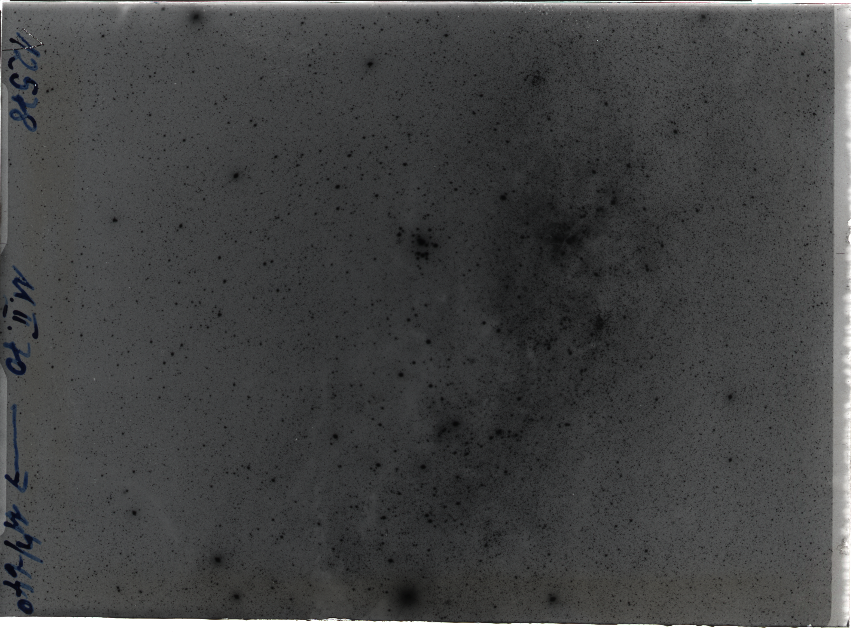 Plate preview