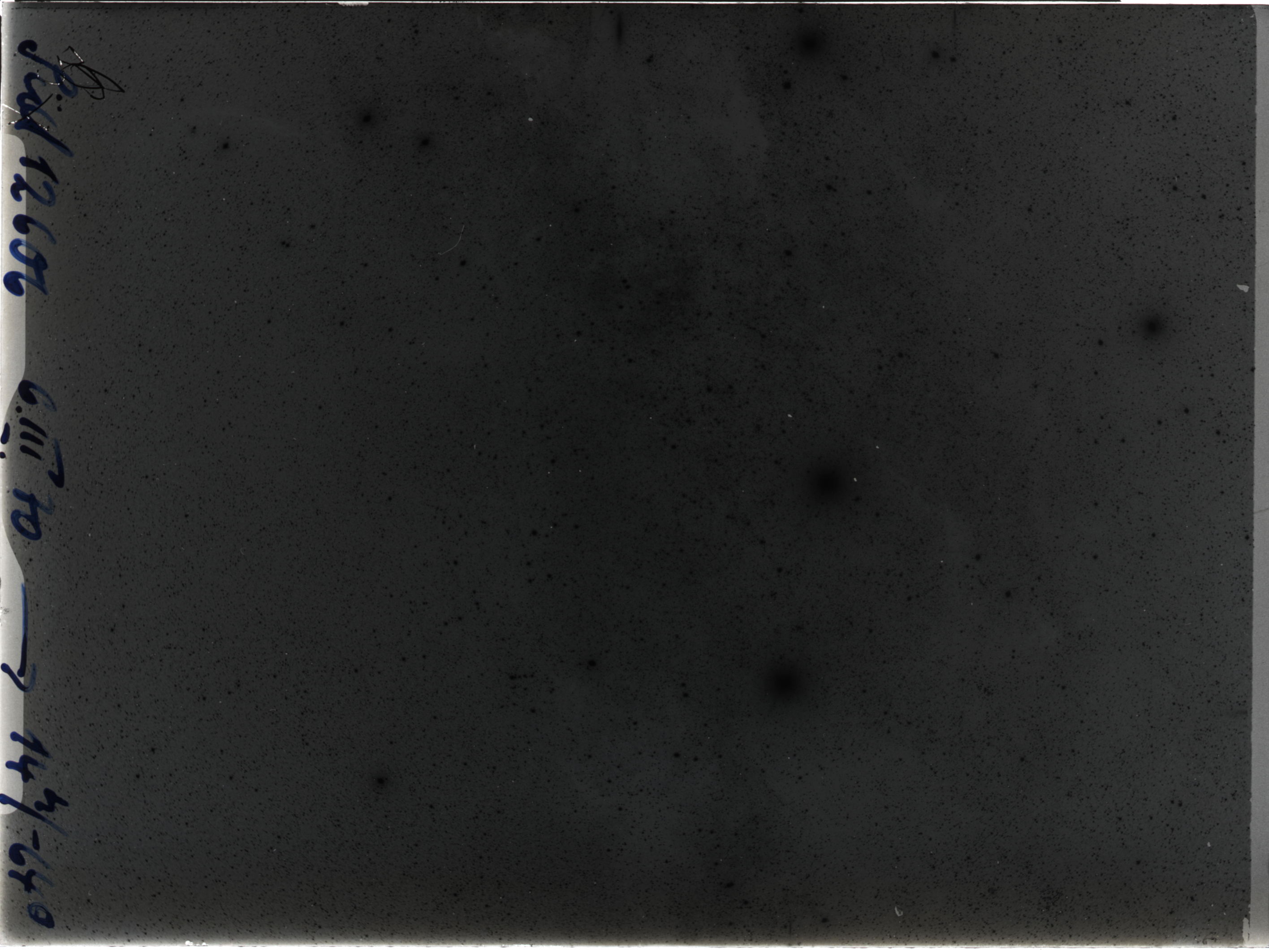 Plate preview