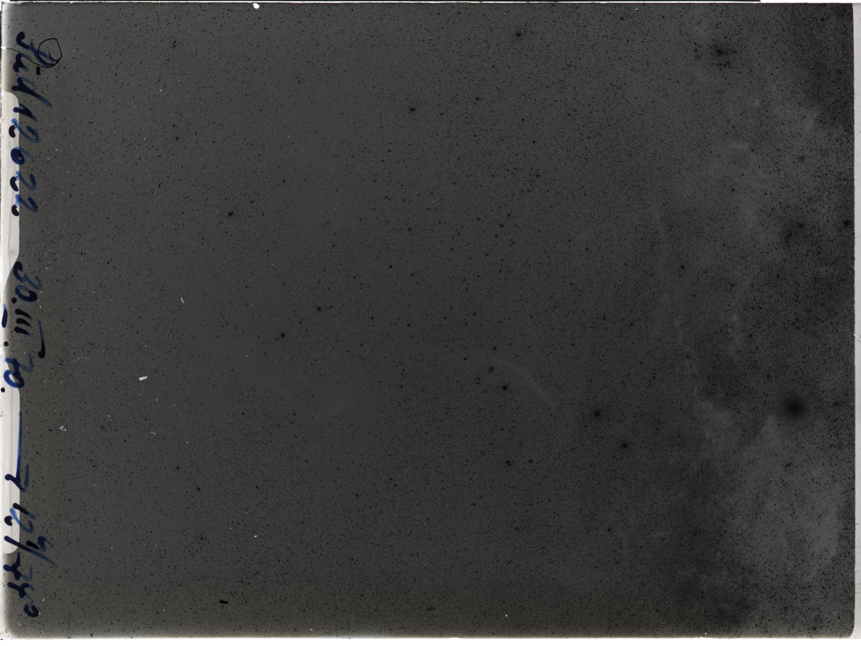 Plate preview