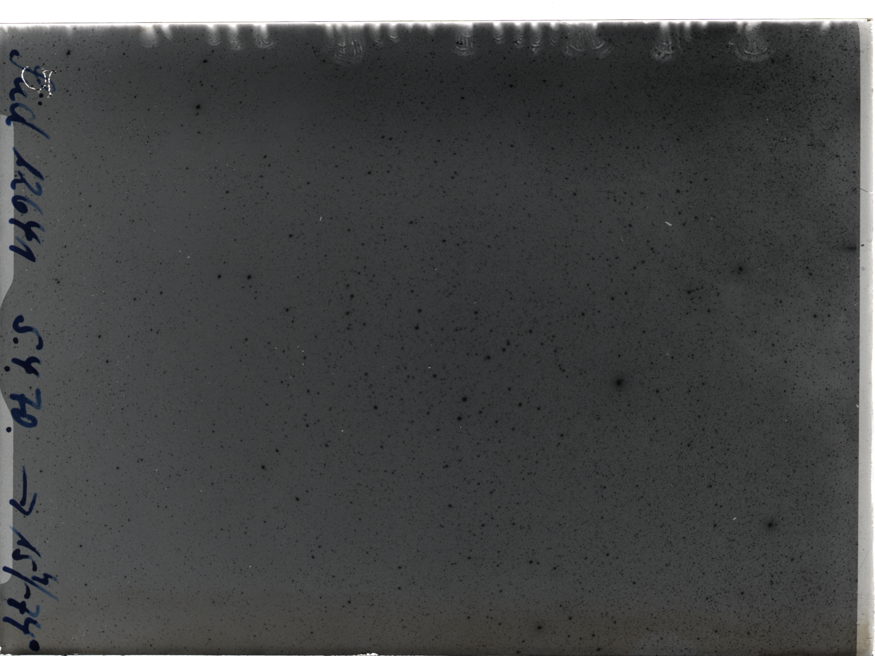 Plate preview