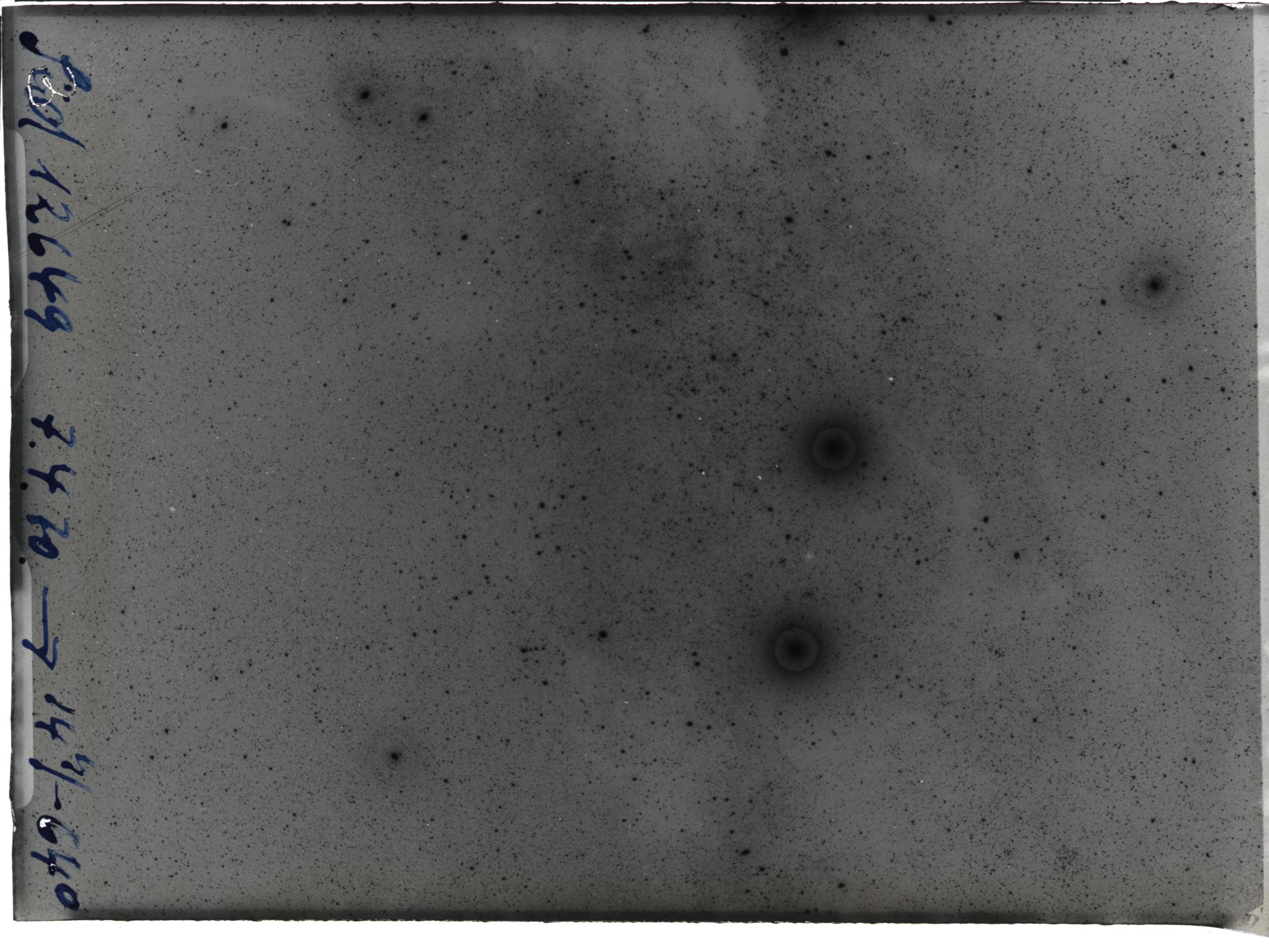 Plate preview