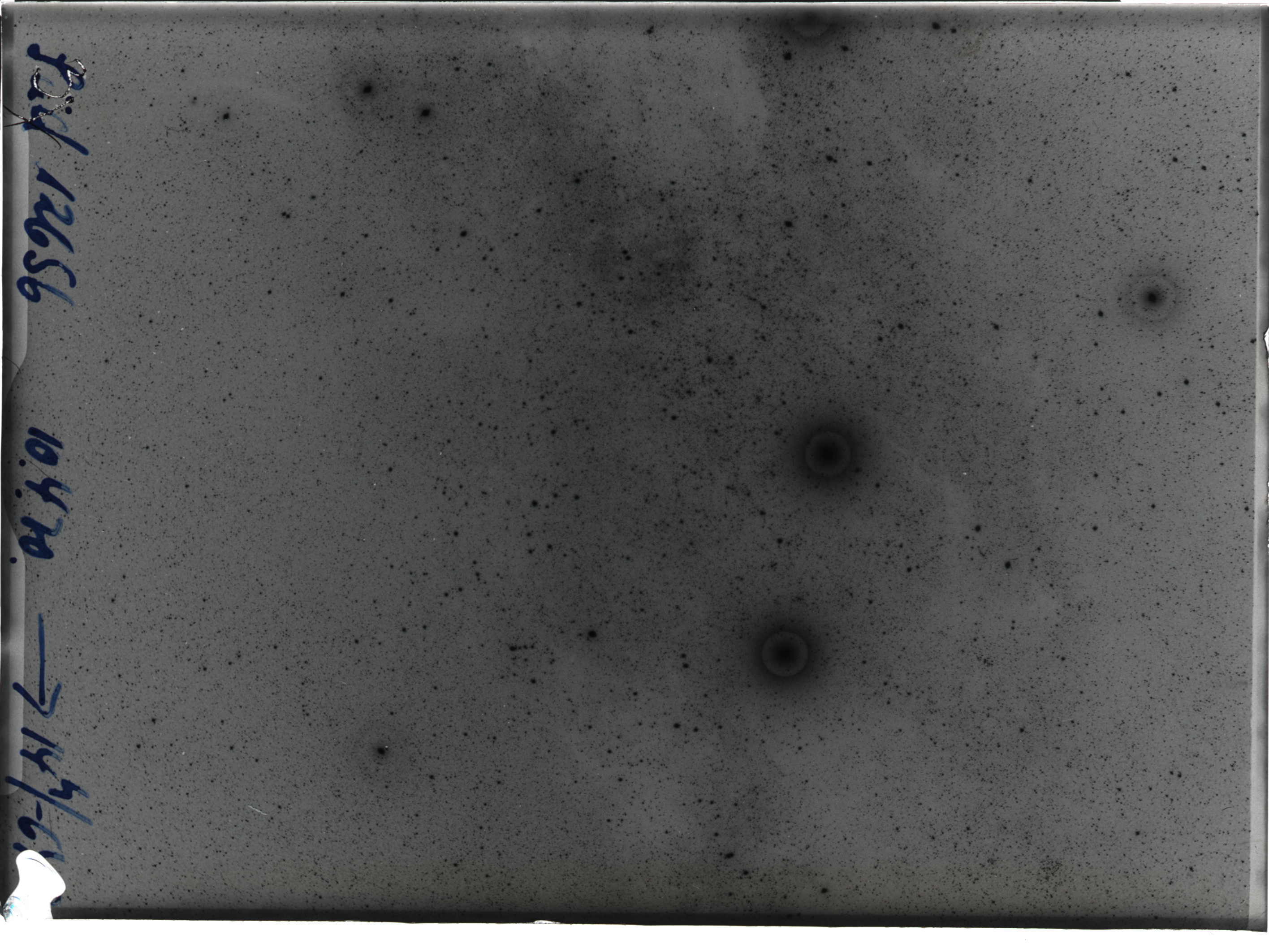 Plate preview