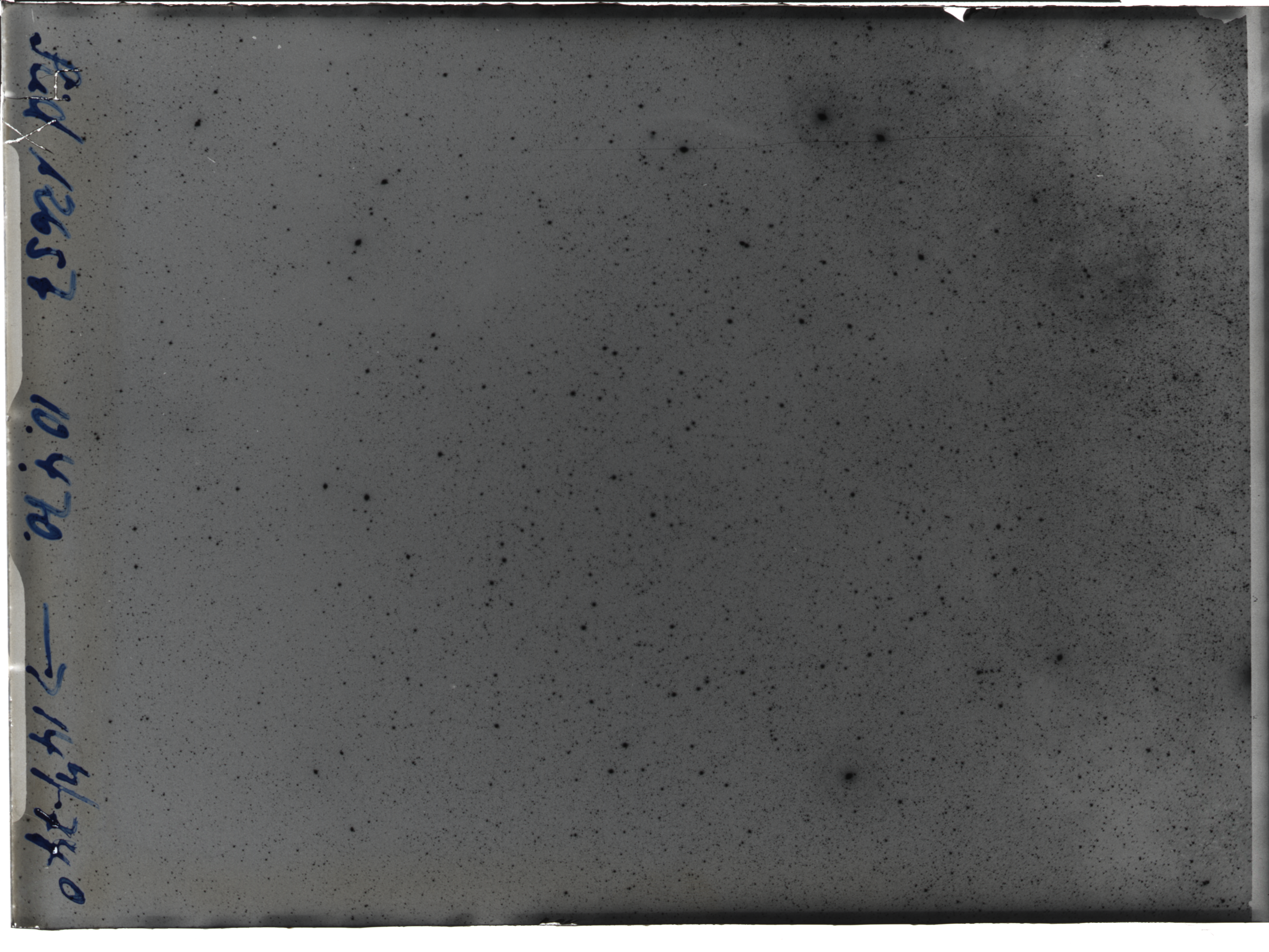 Plate preview