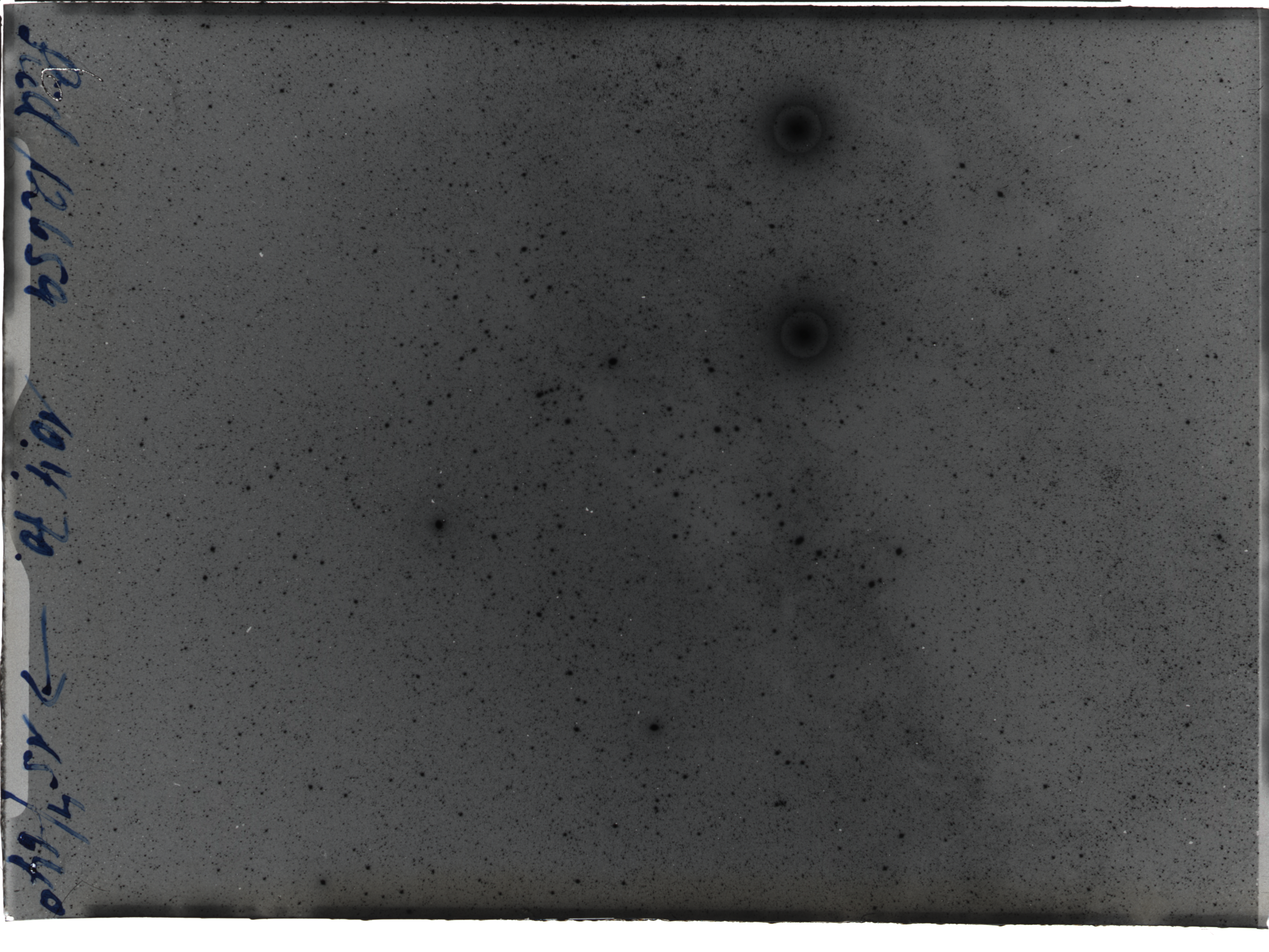 Plate preview