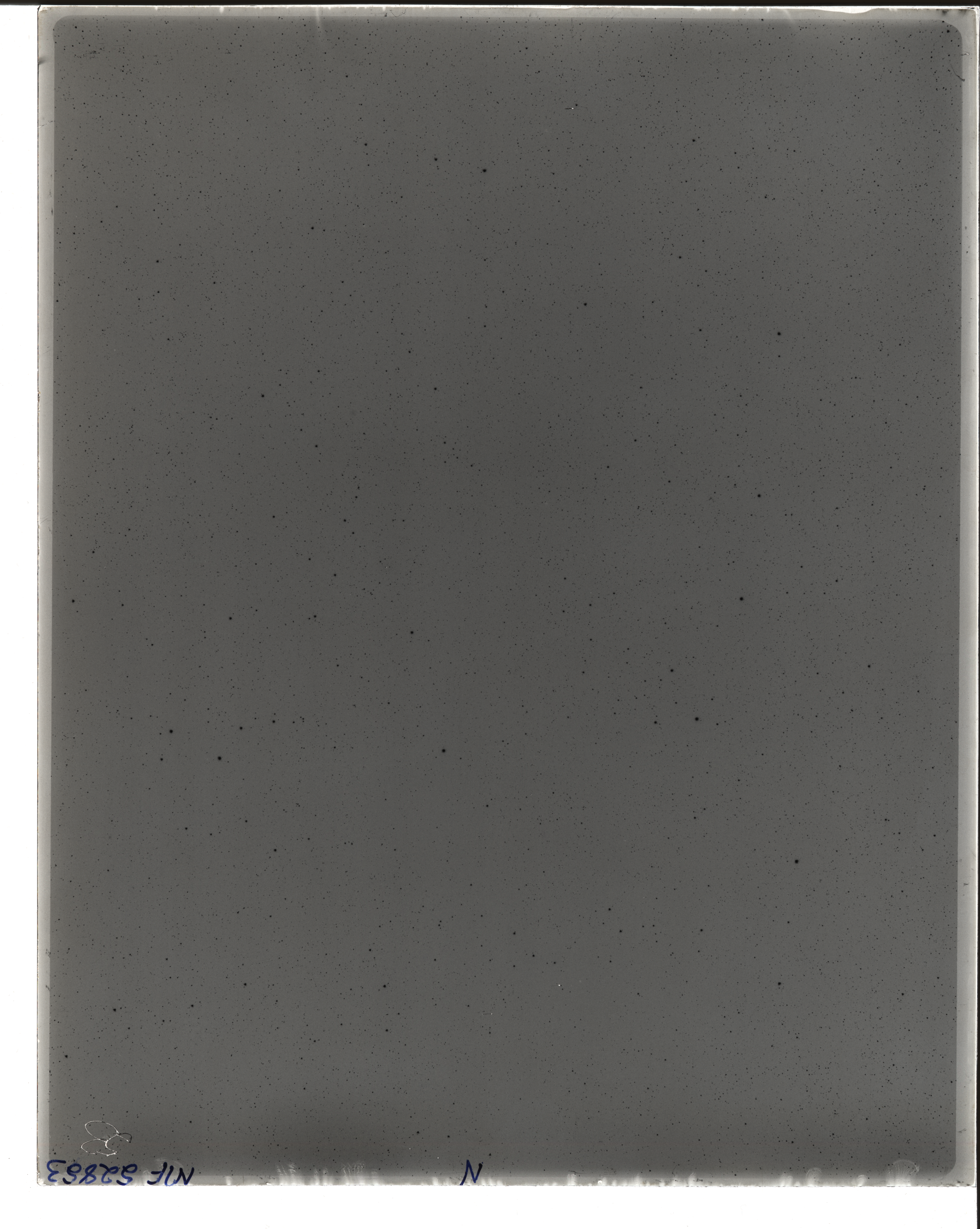 Plate preview