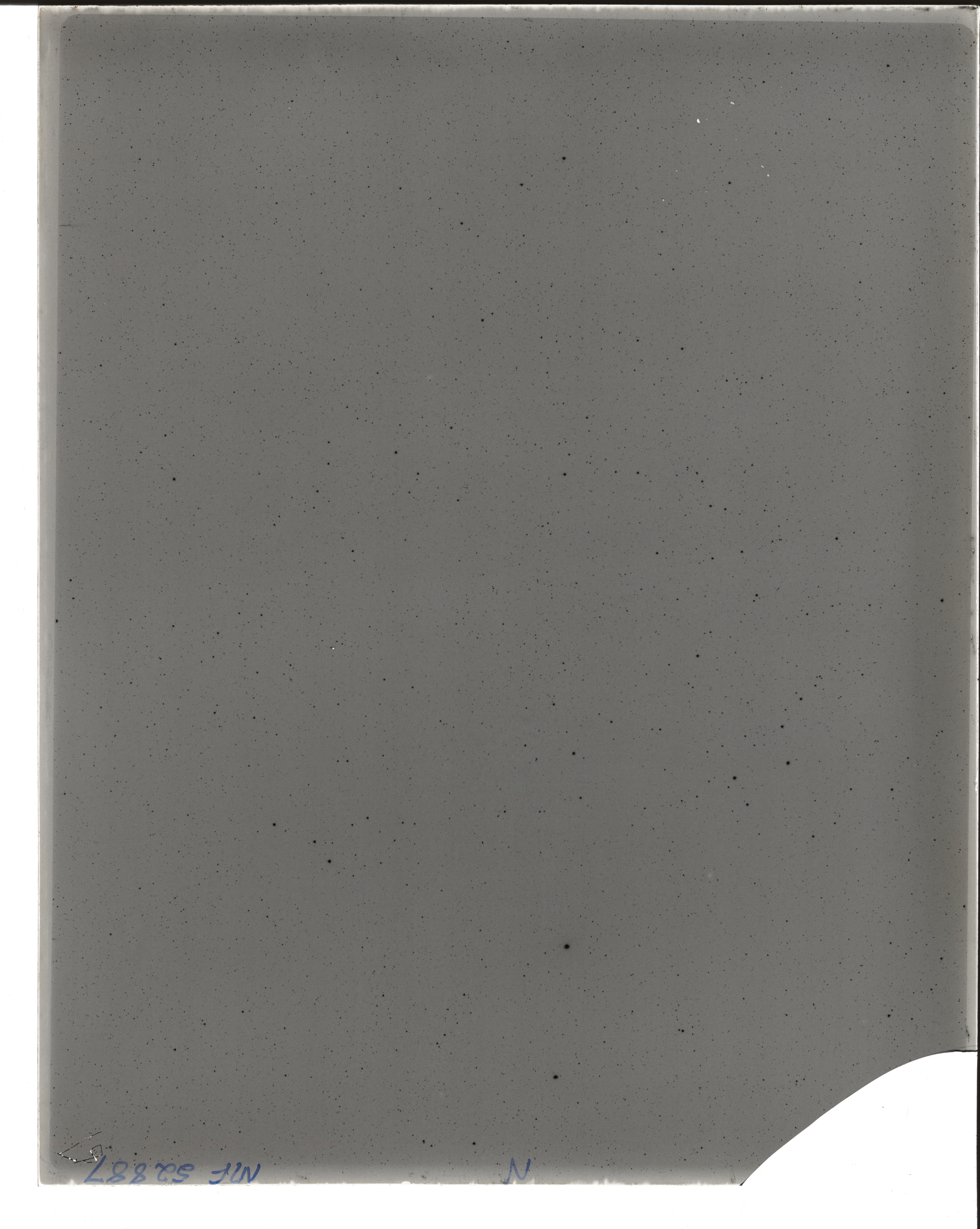 Plate preview