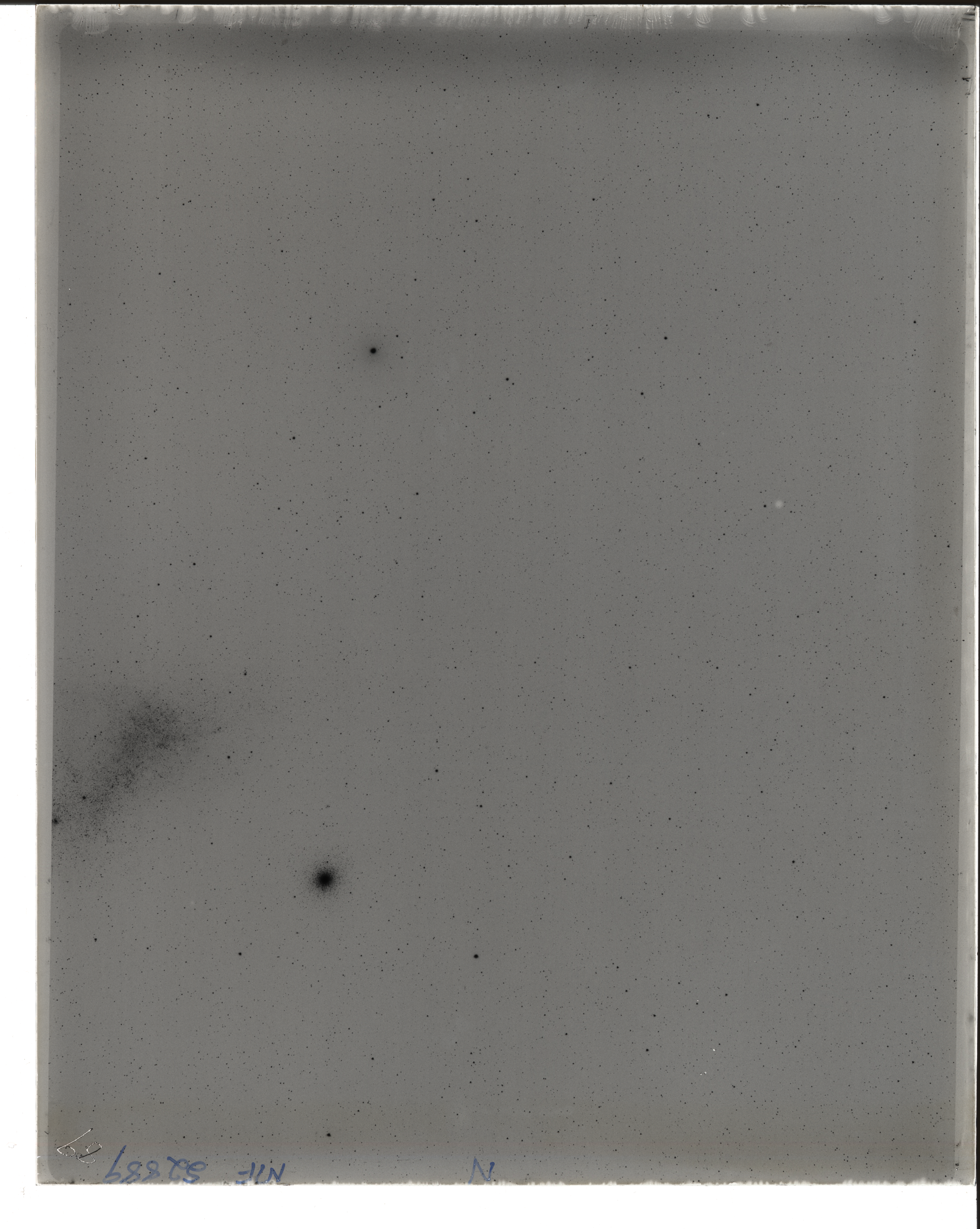 Plate preview