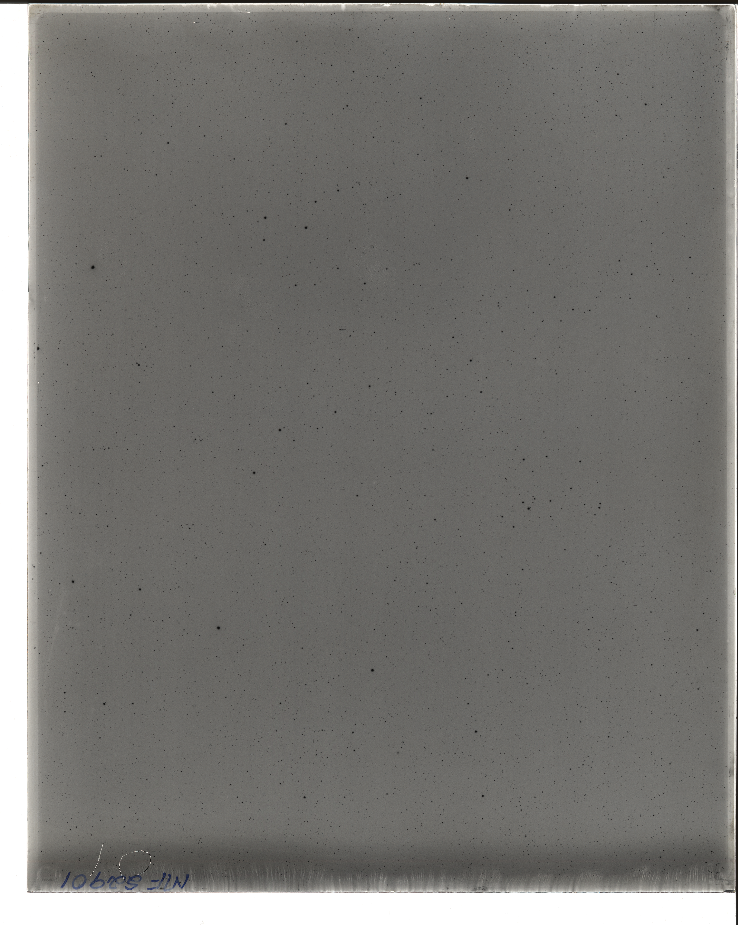 Plate preview