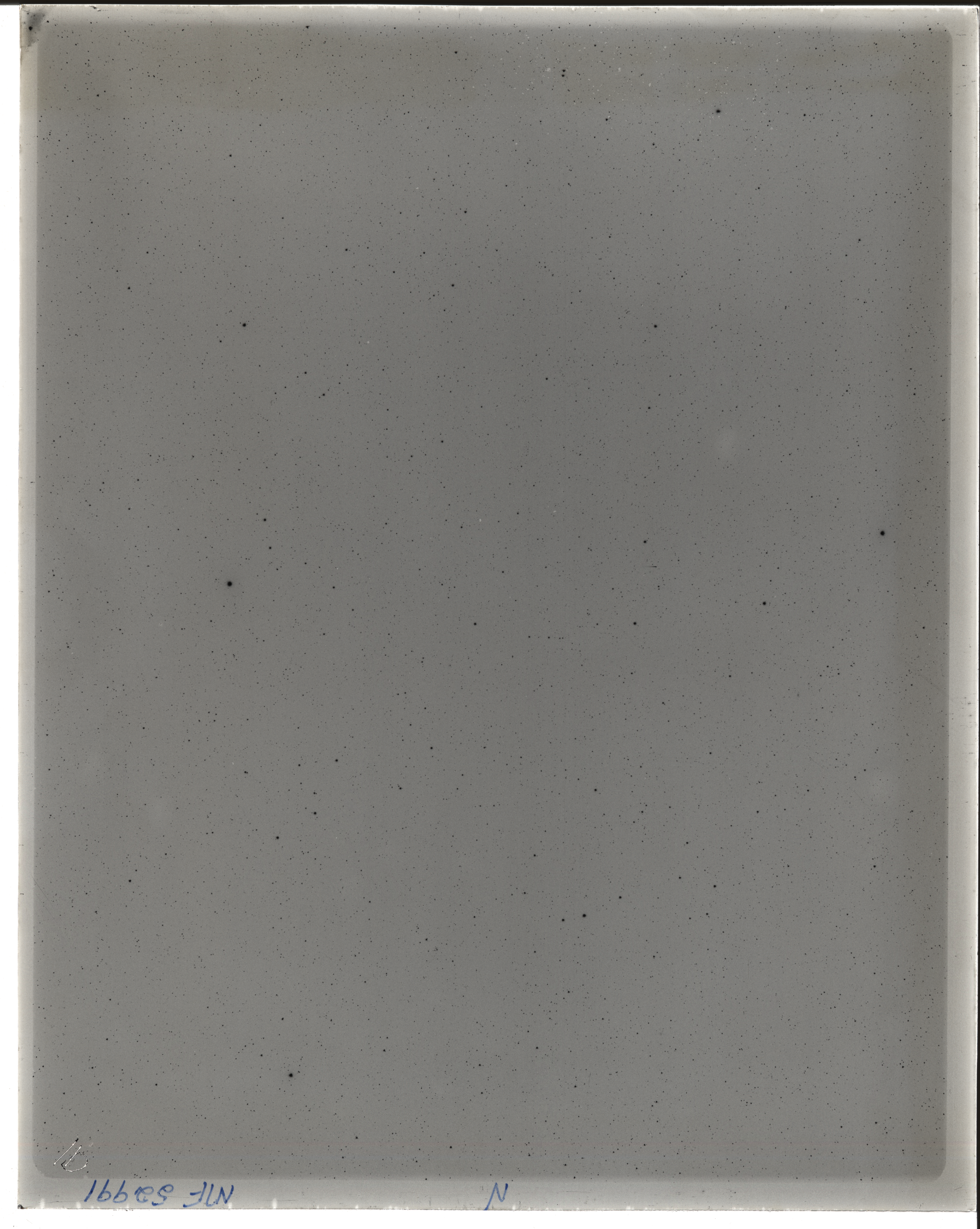 Plate preview