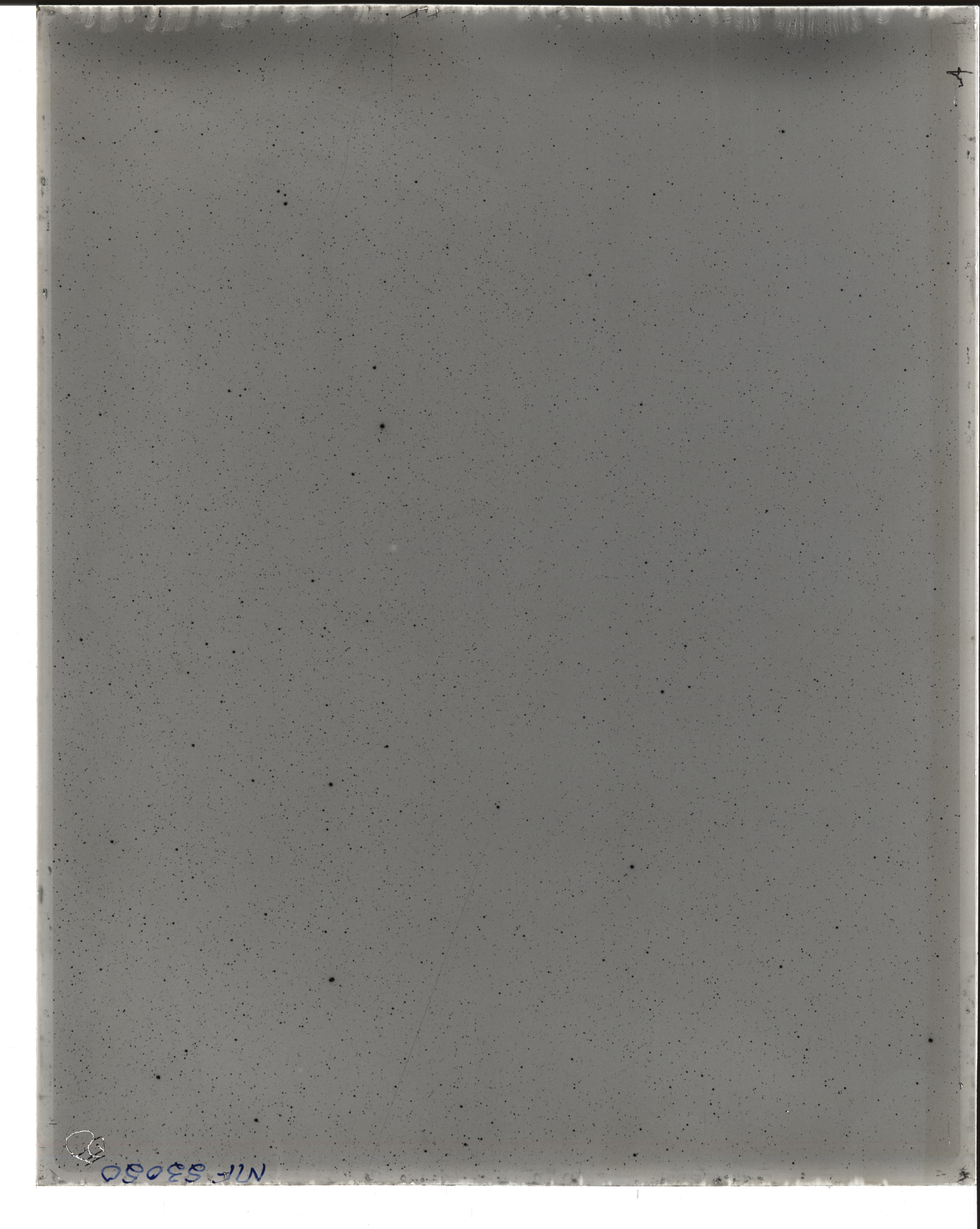 Plate preview