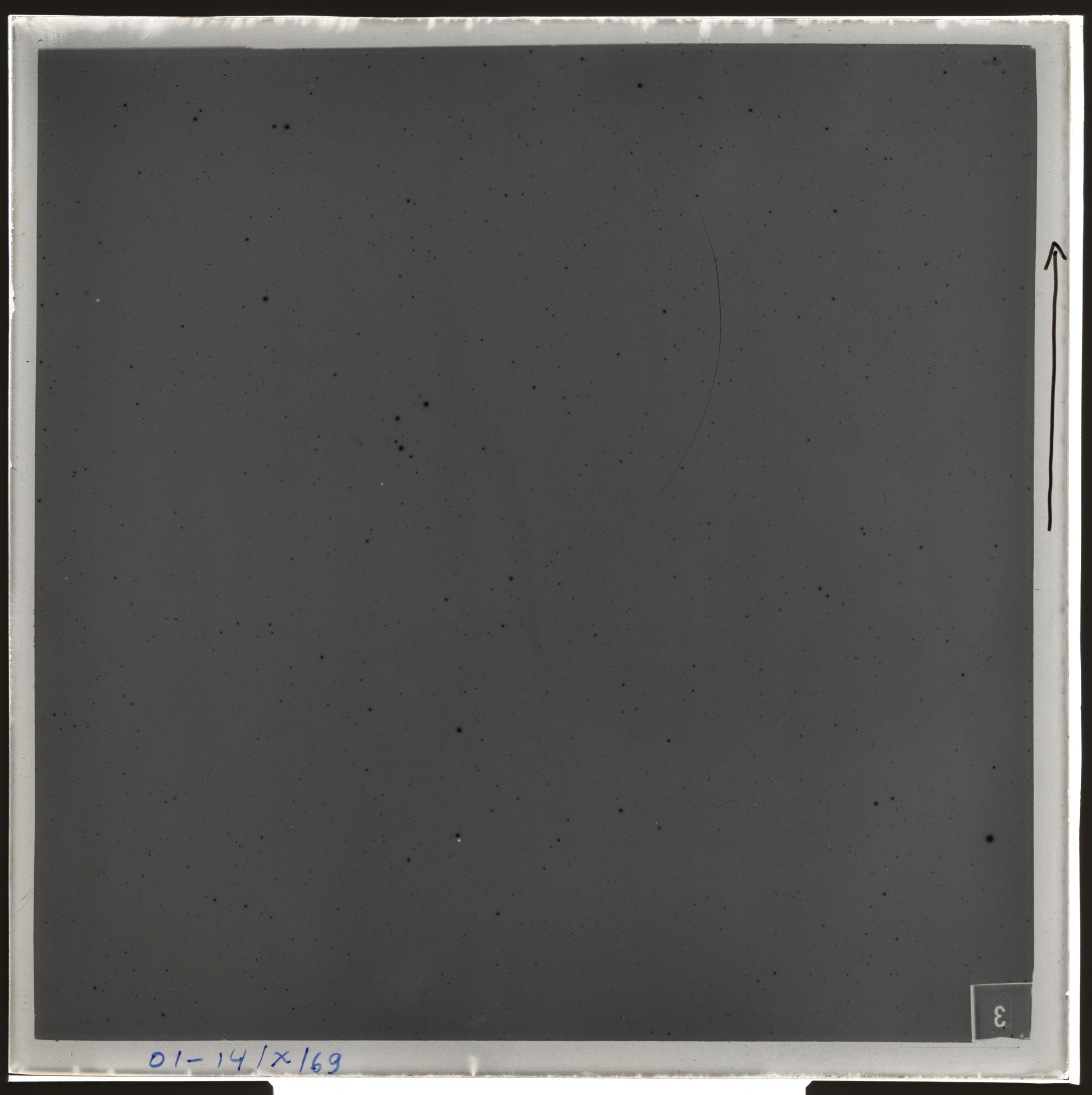 Plate preview