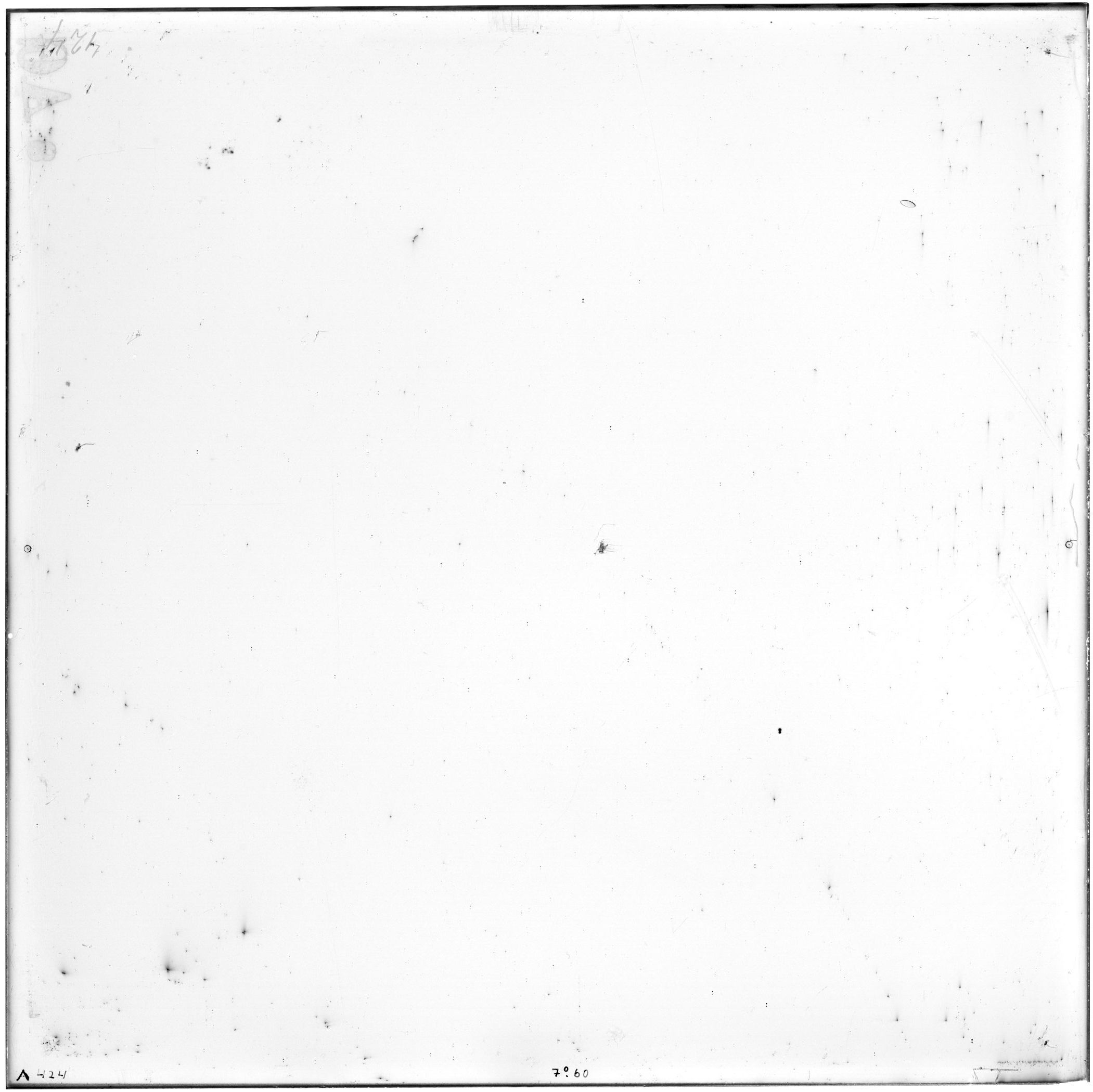 Plate preview