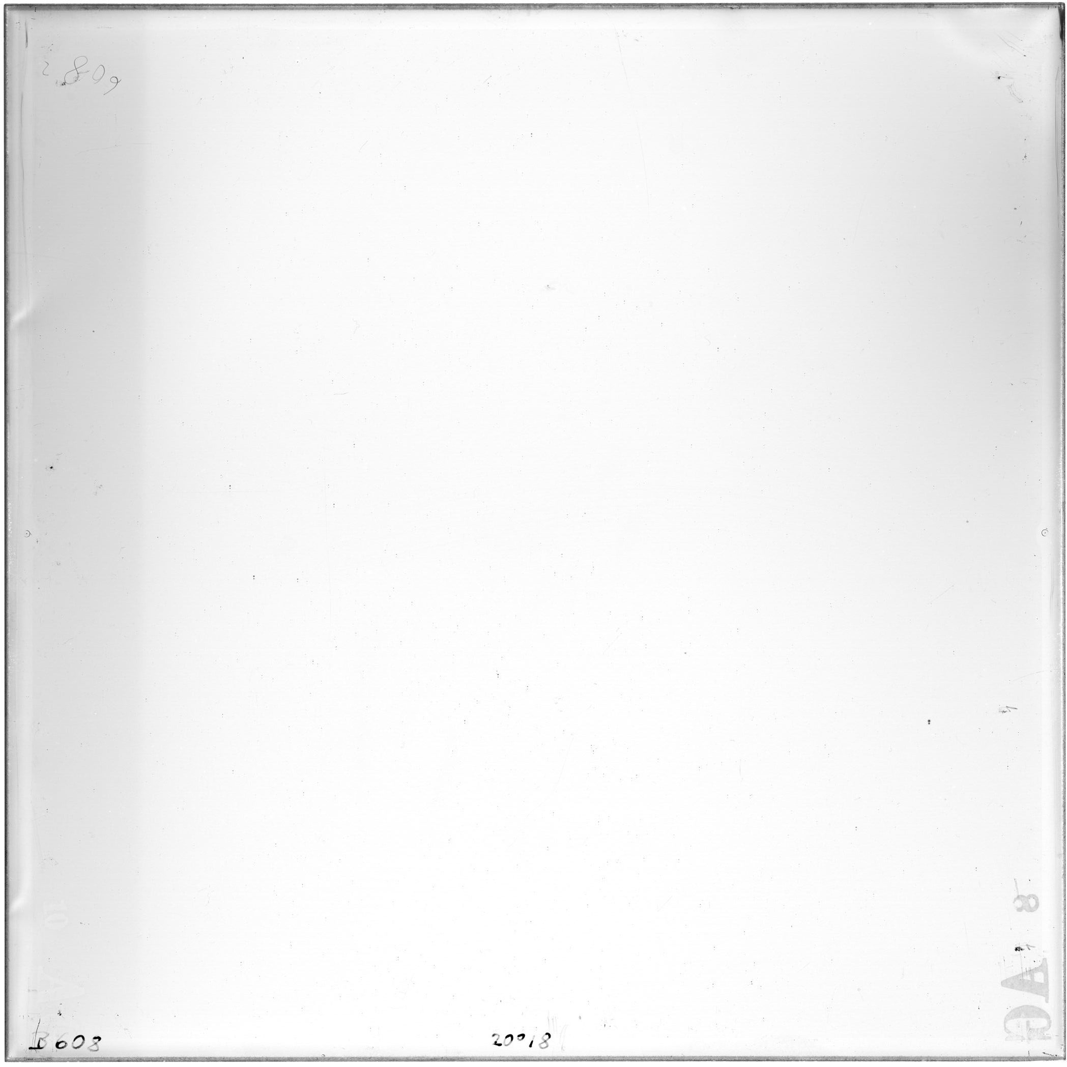 Plate preview