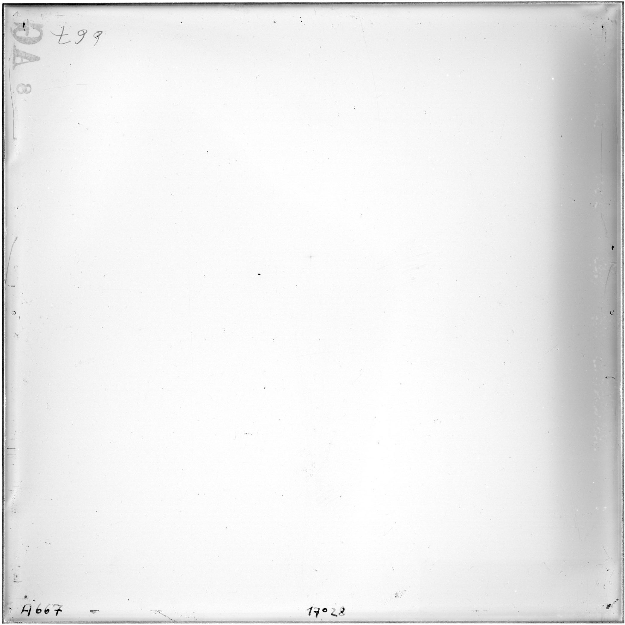 Plate preview