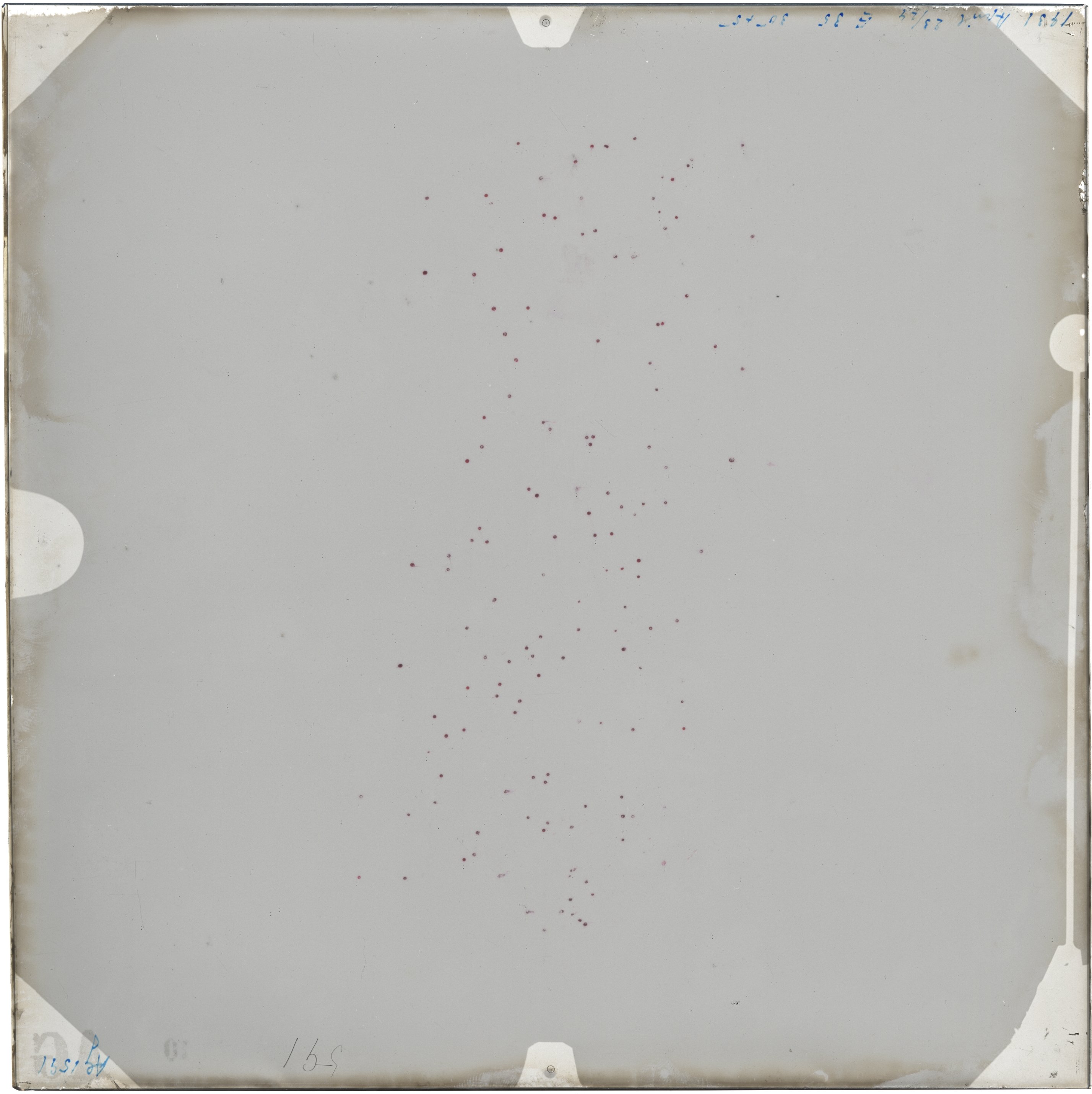Plate preview