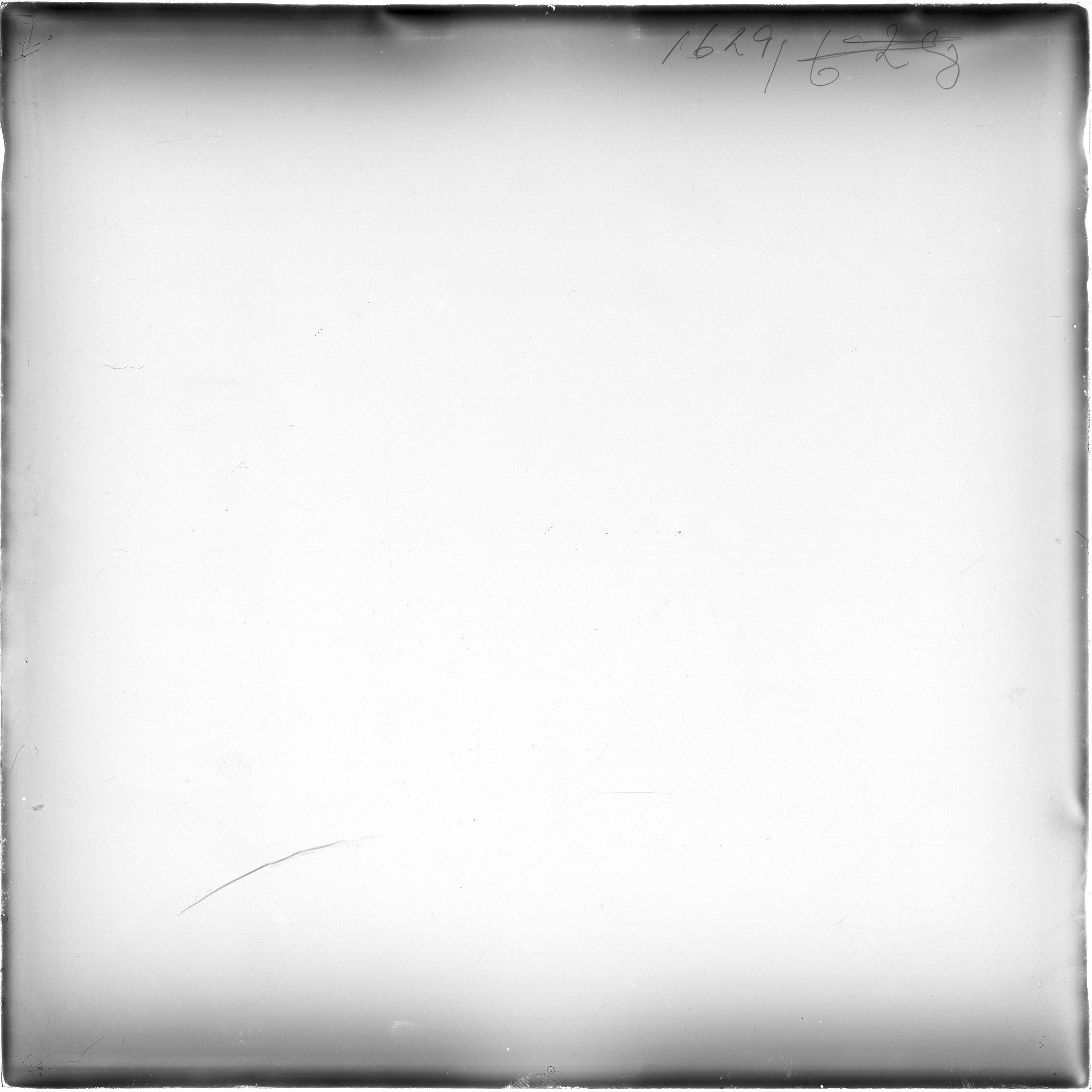 Plate preview