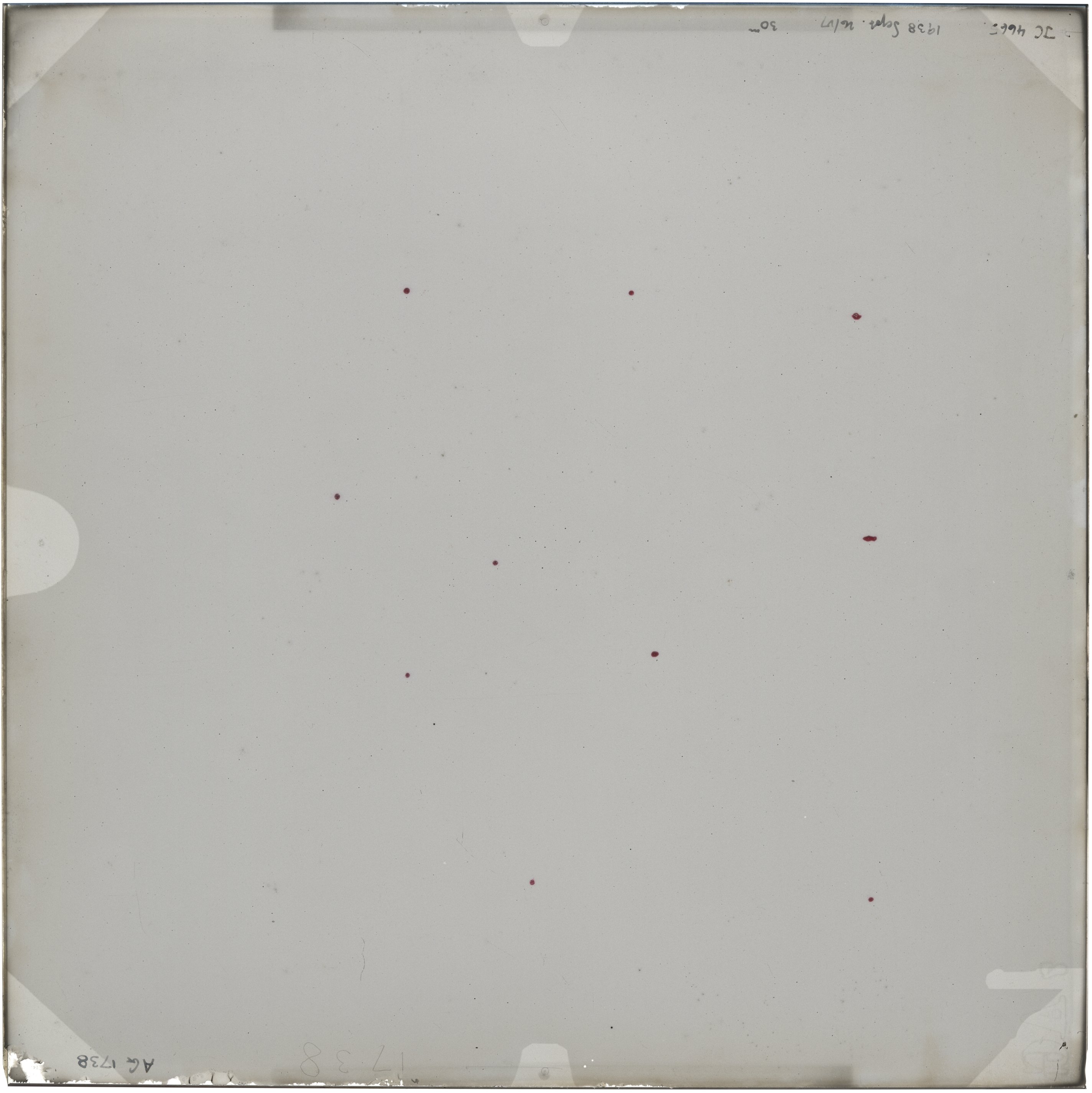 Plate preview