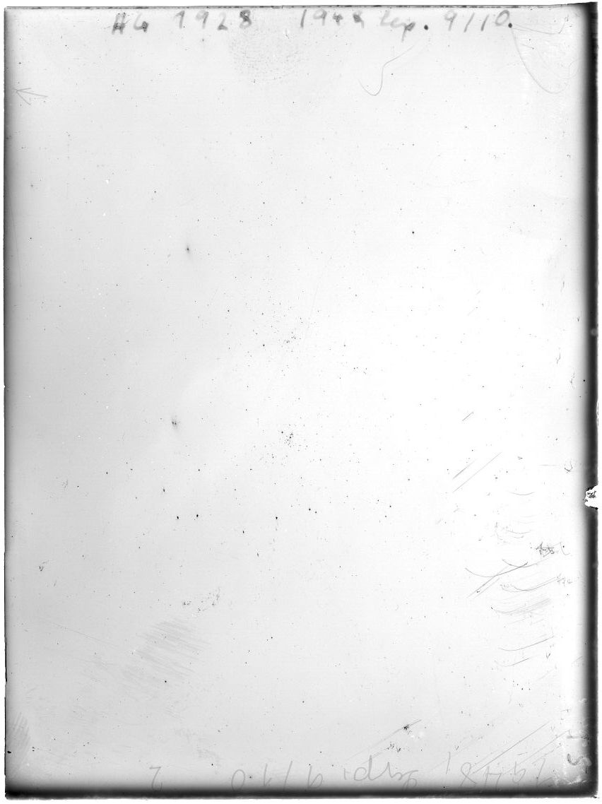 Plate preview