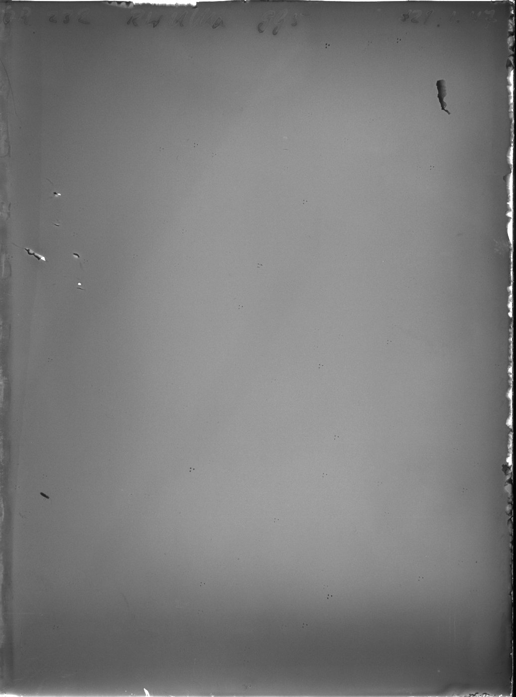 Plate preview