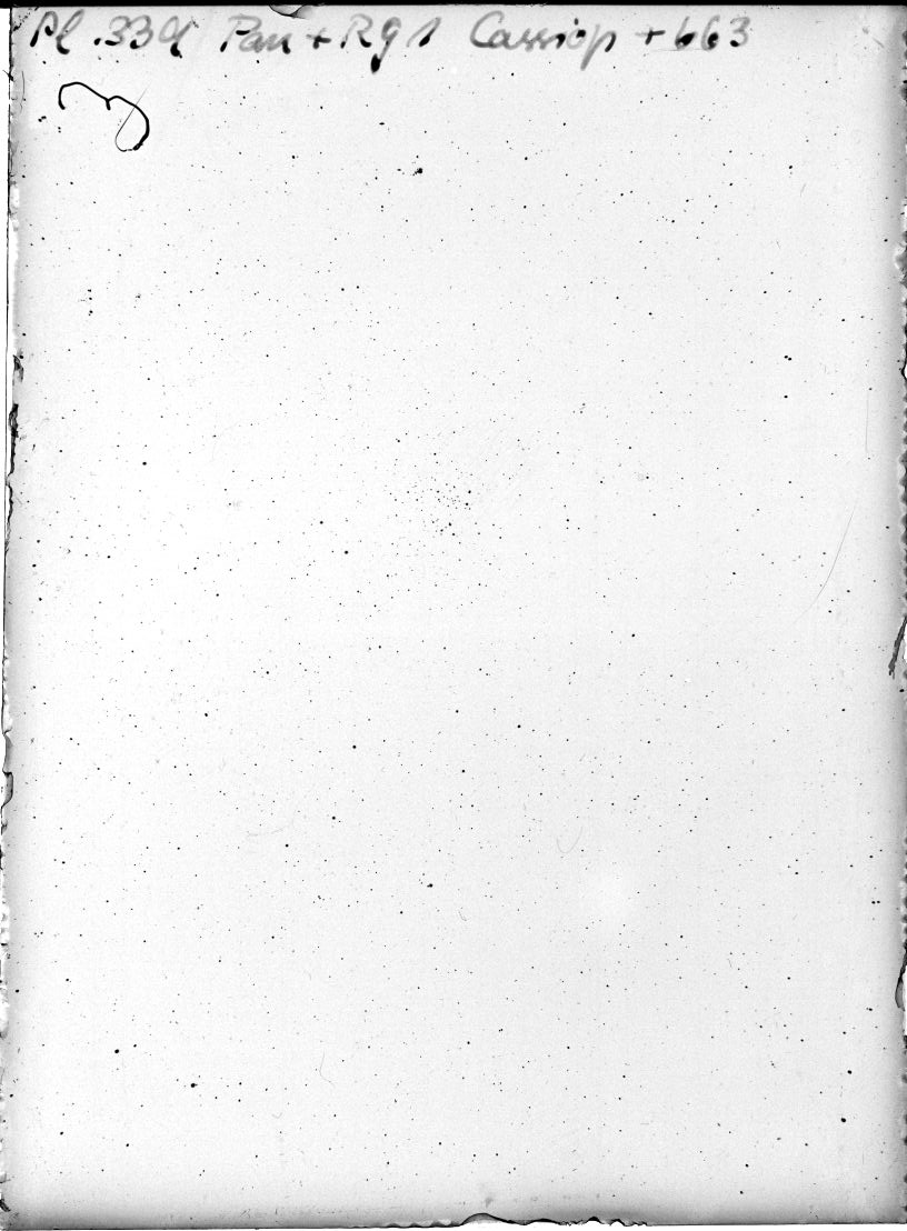 Plate preview