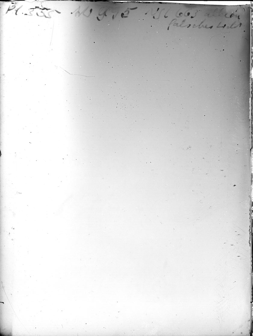Plate preview