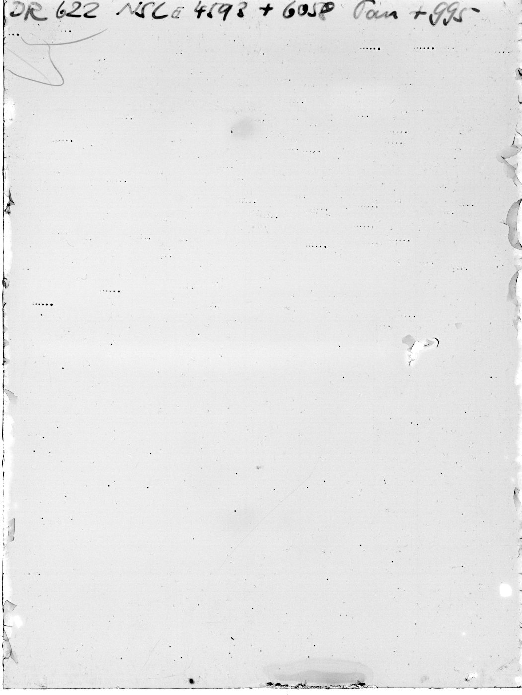 Plate preview