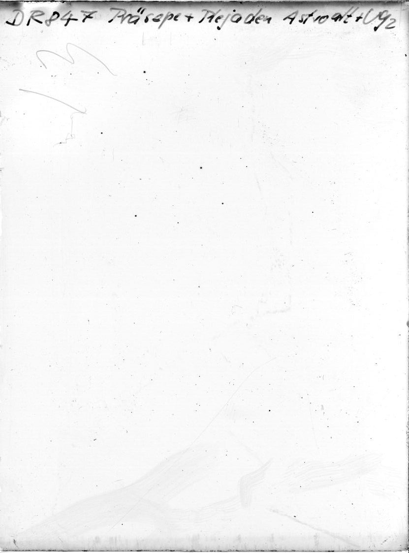 Plate preview