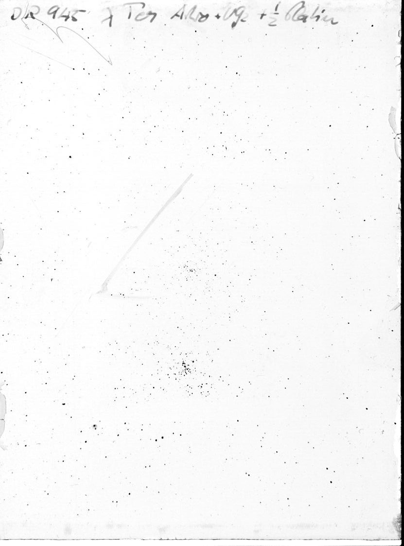 Plate preview