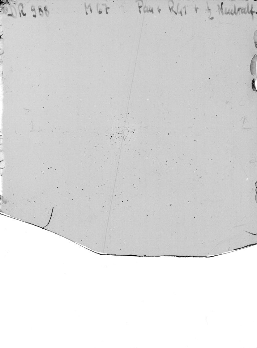 Plate preview