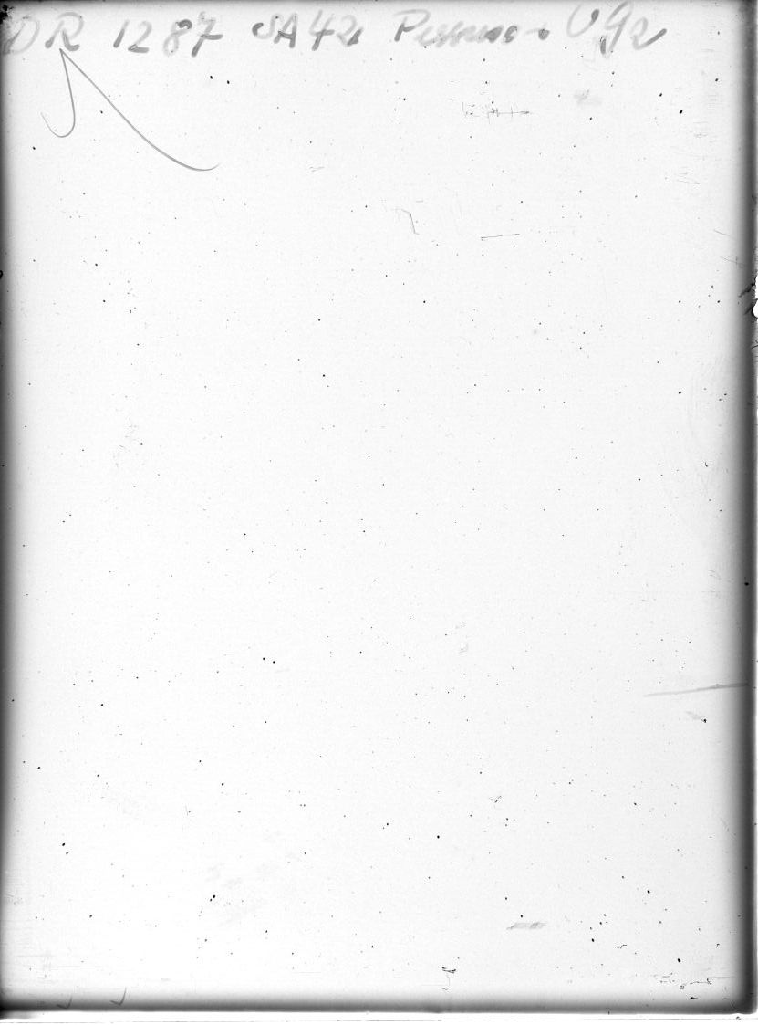 Plate preview