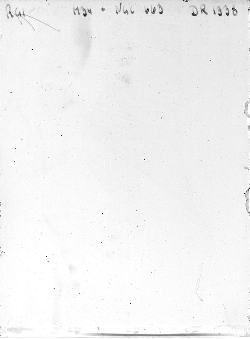 Plate preview