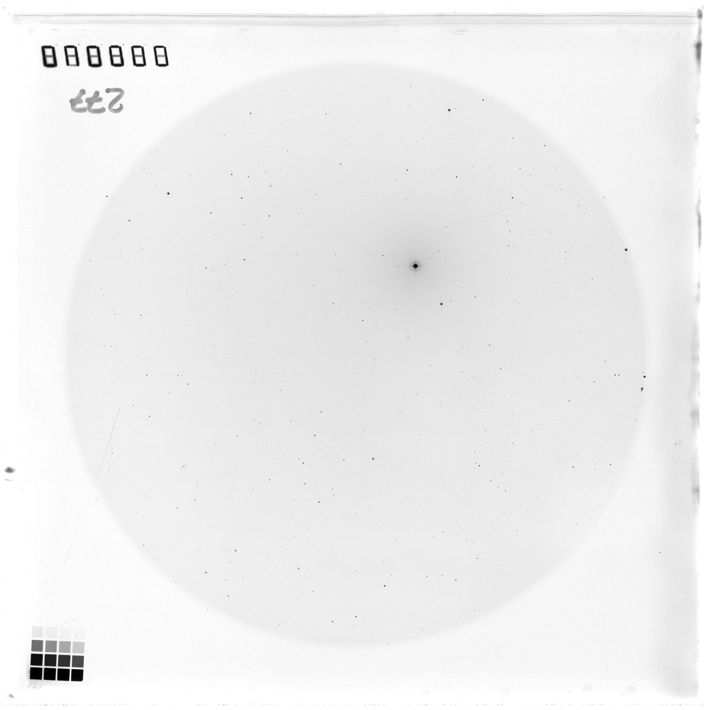 Plate preview