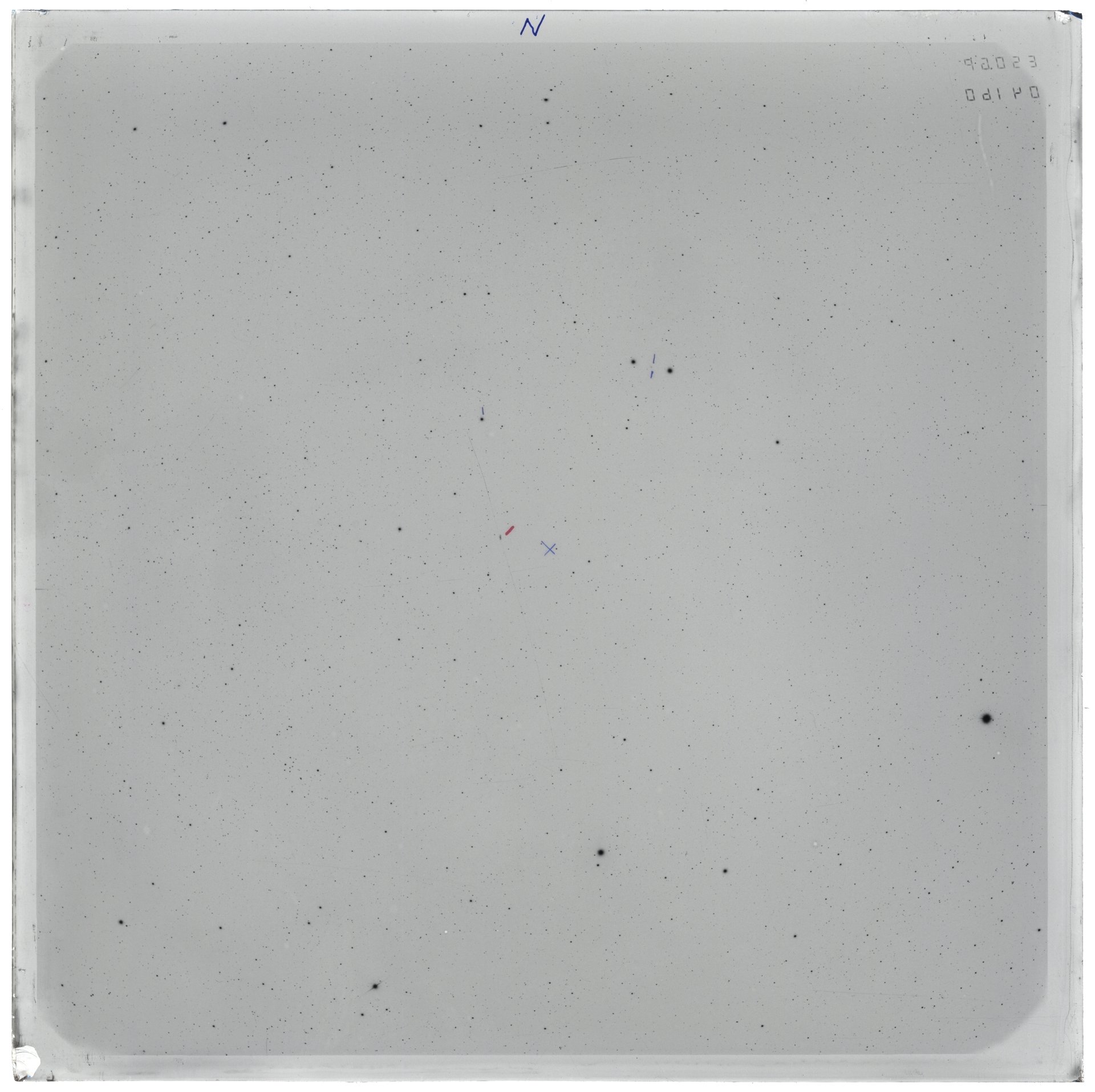 Plate preview