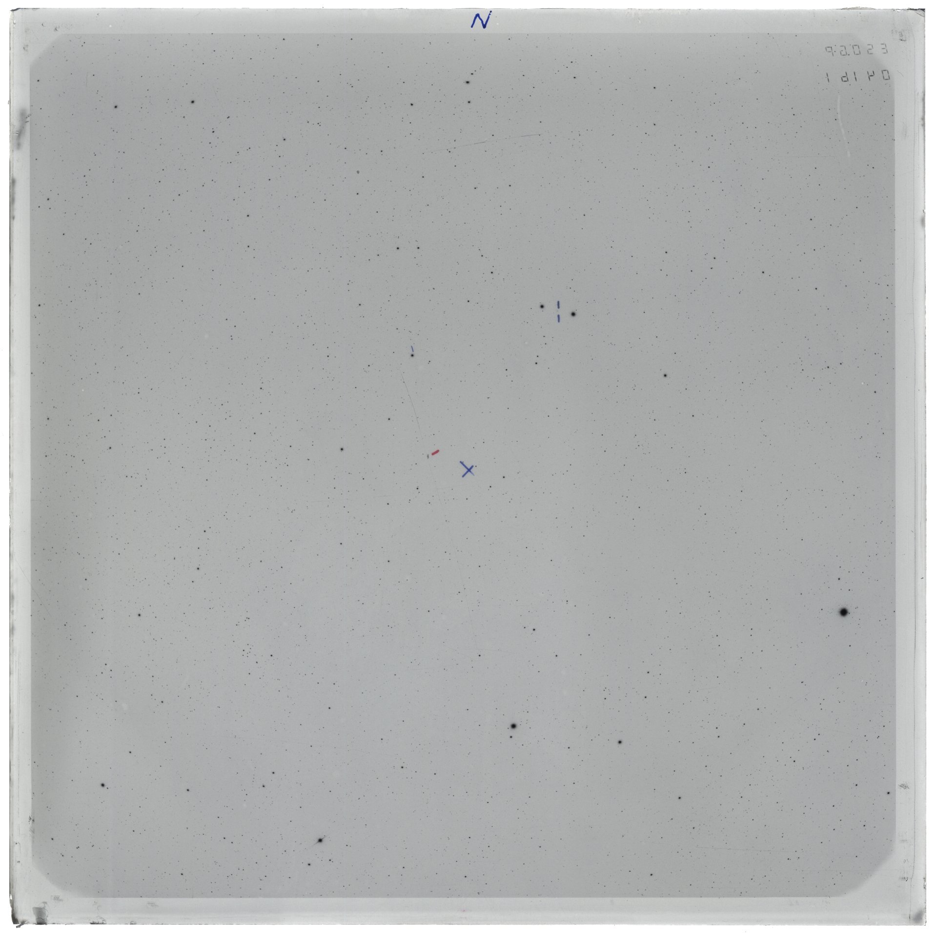 Plate preview
