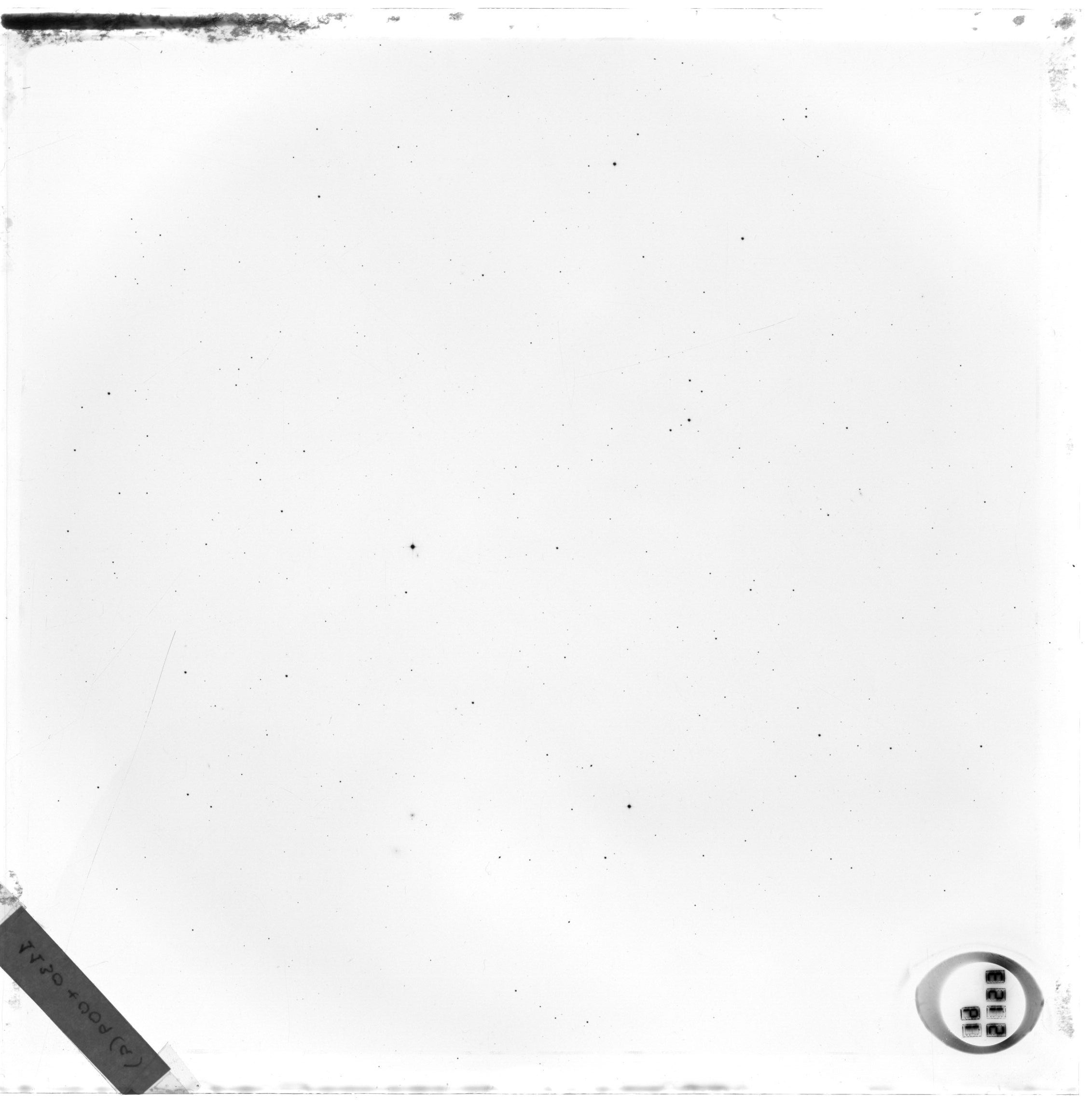 Plate preview