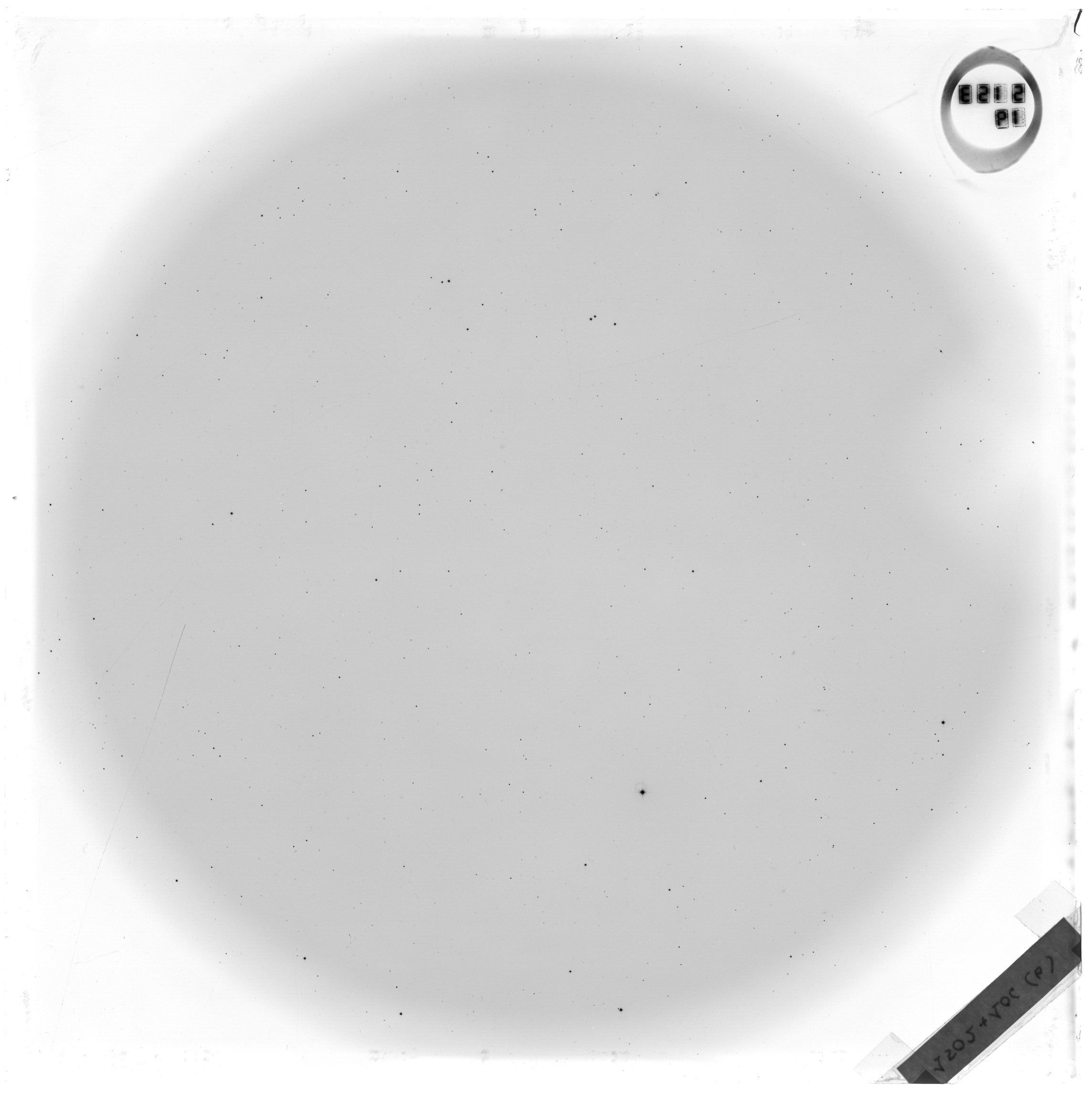 Plate preview