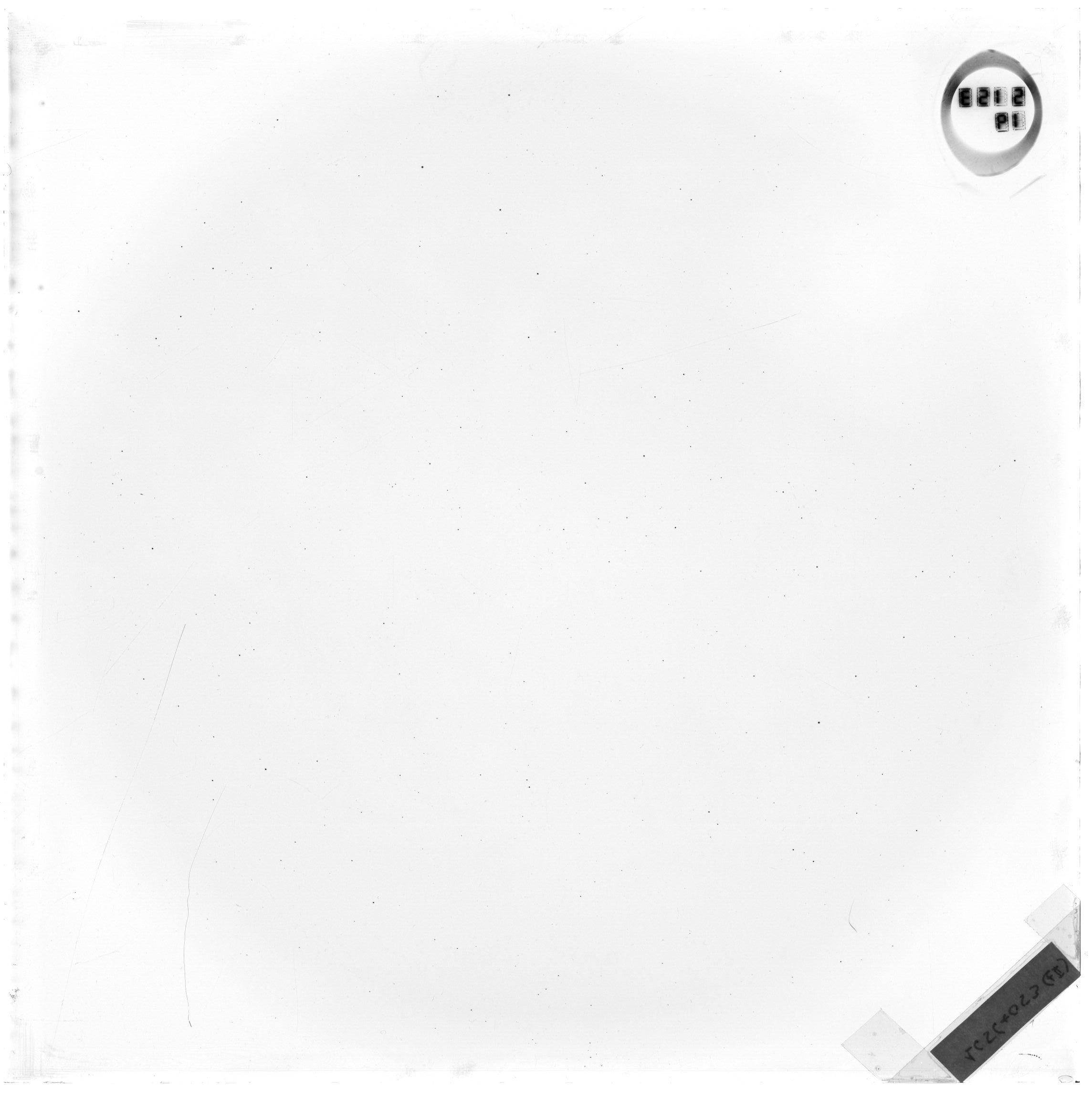 Plate preview