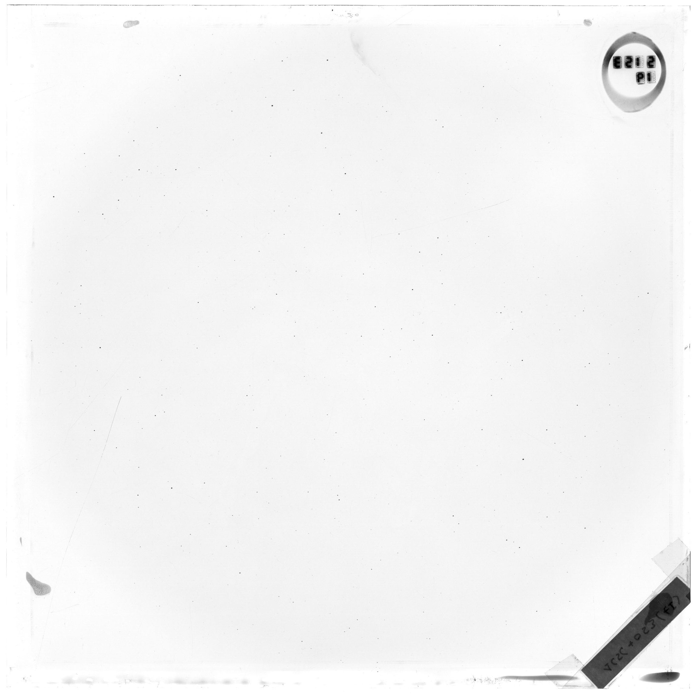Plate preview