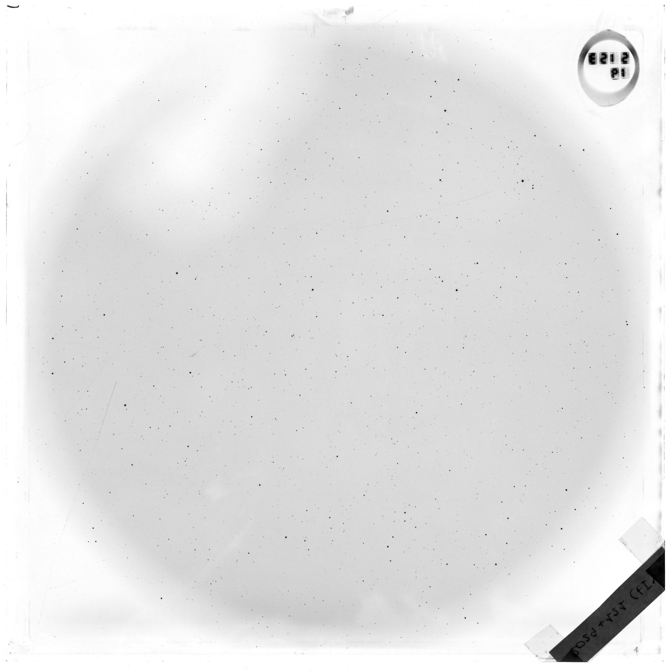 Plate preview