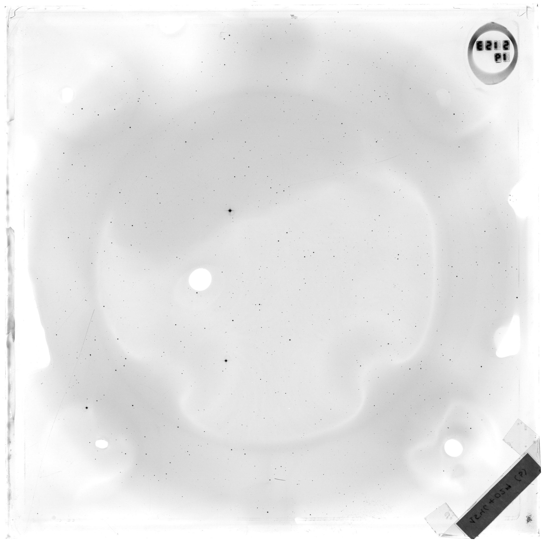 Plate preview
