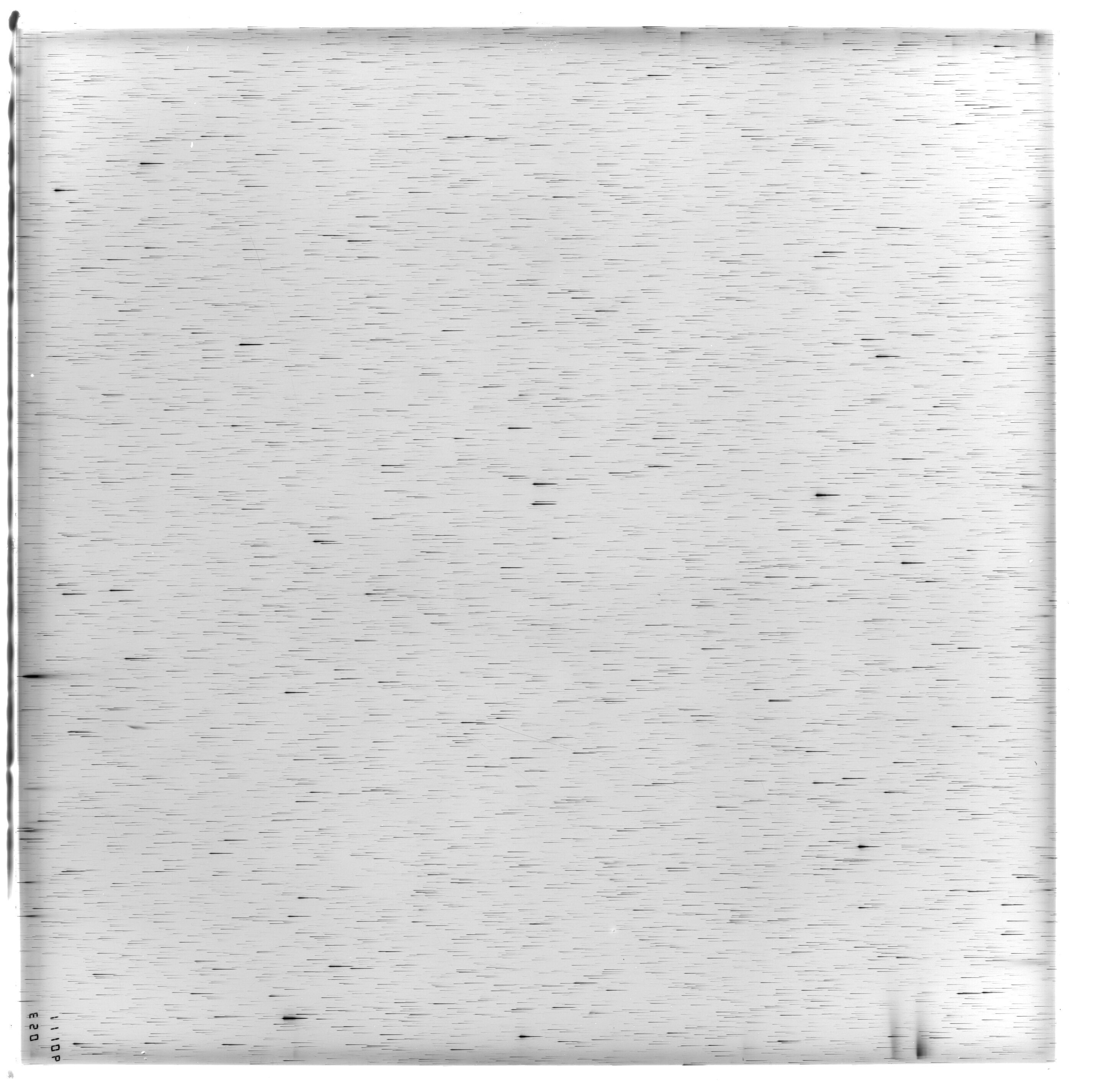 Plate preview