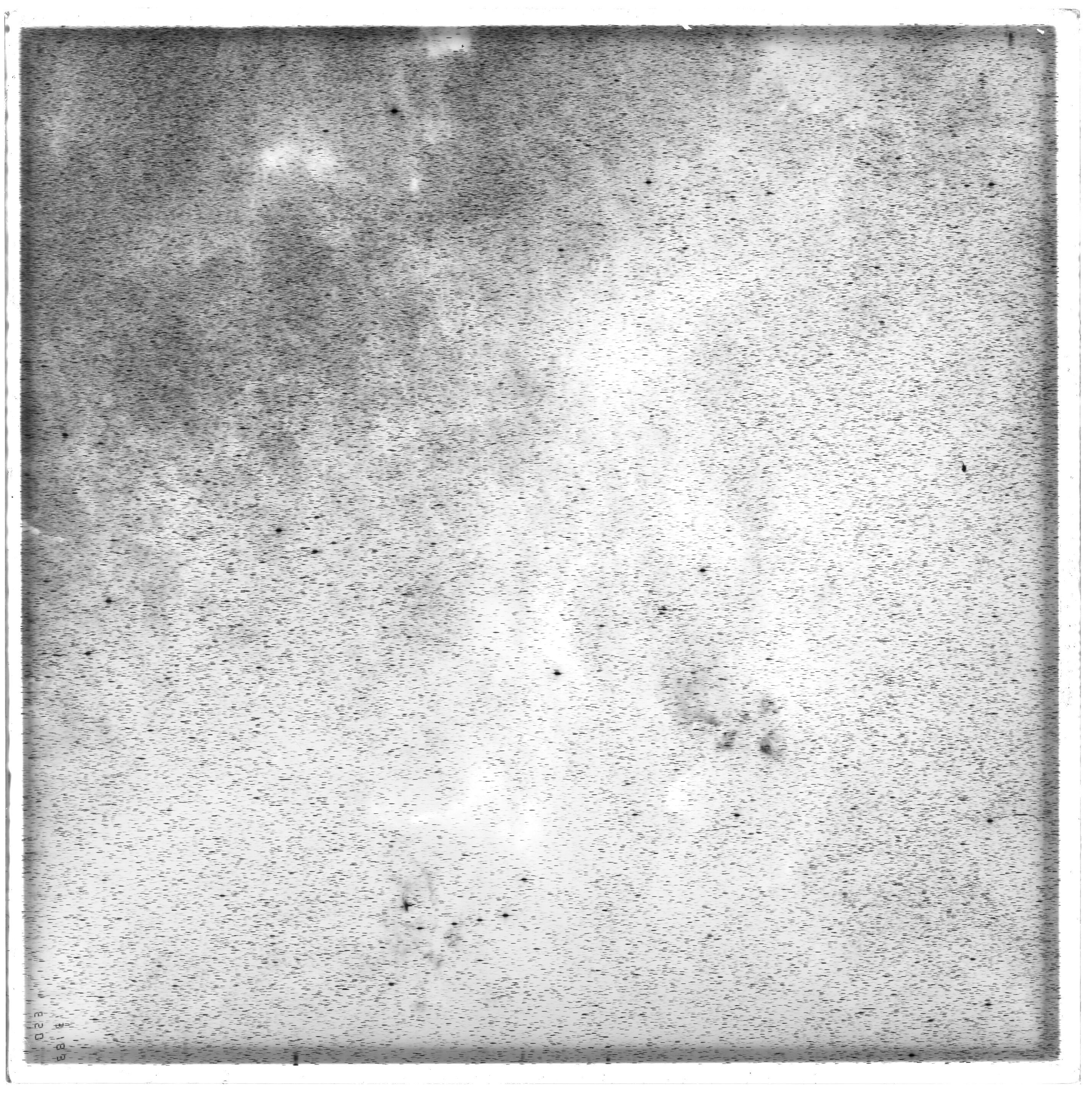 Plate preview