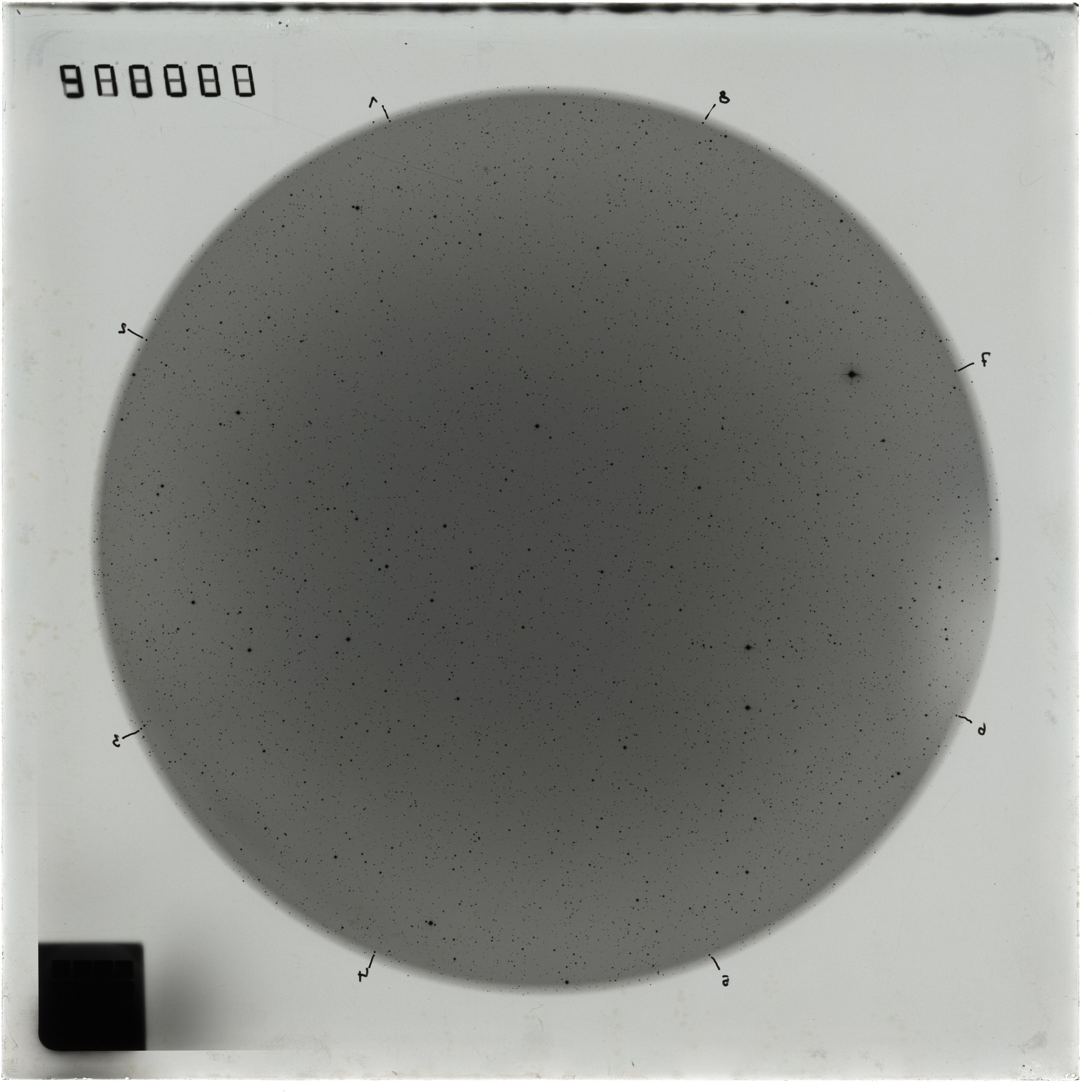 Plate preview