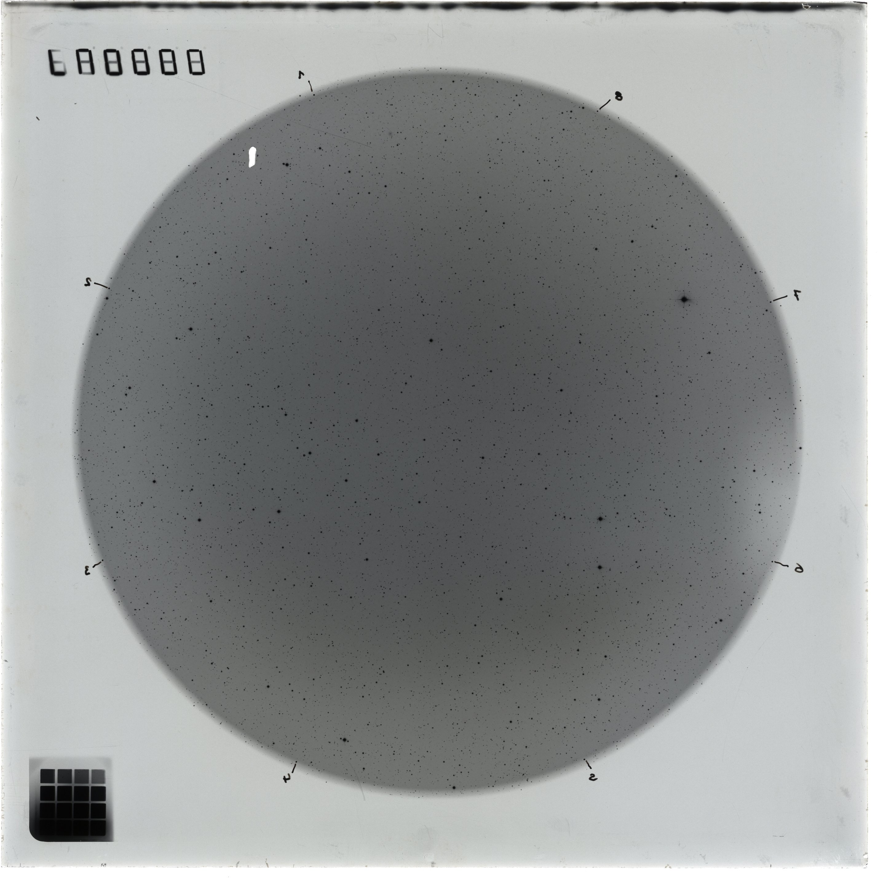 Plate preview