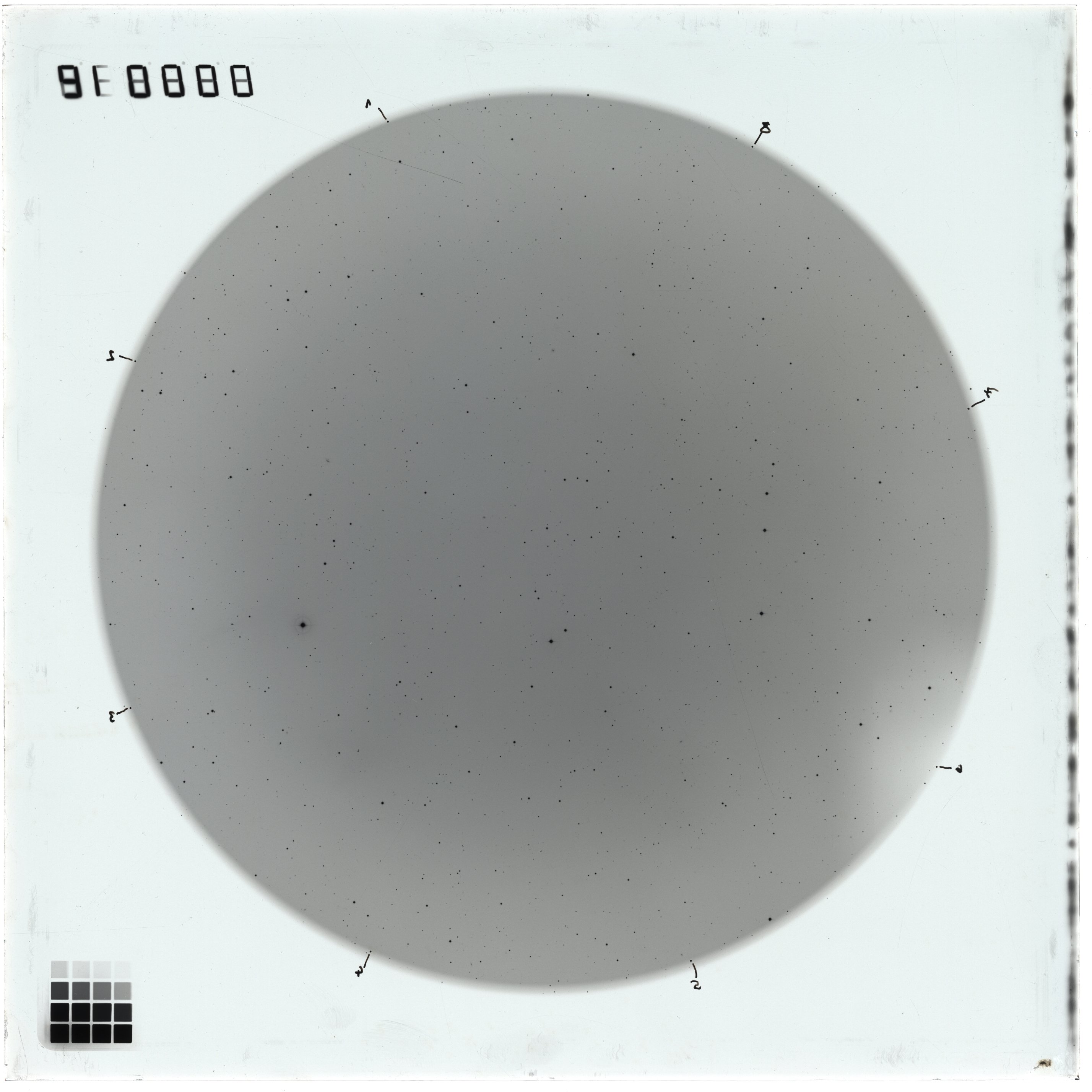 Plate preview