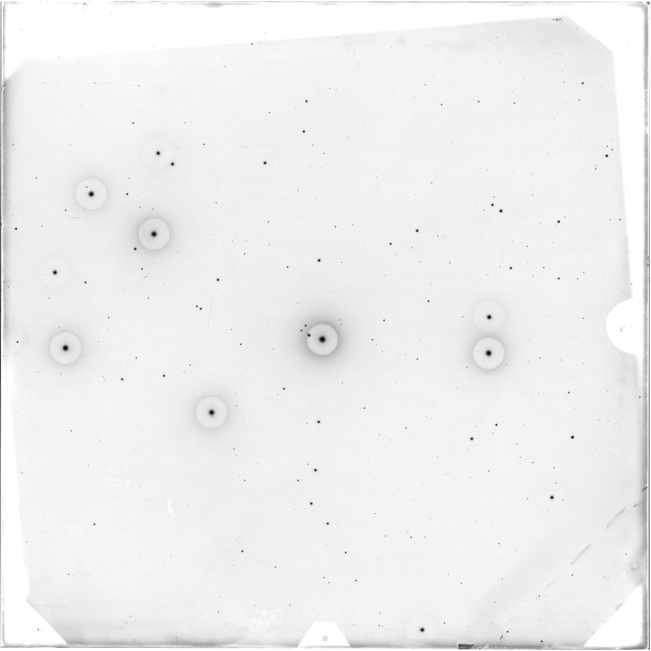 Plate preview